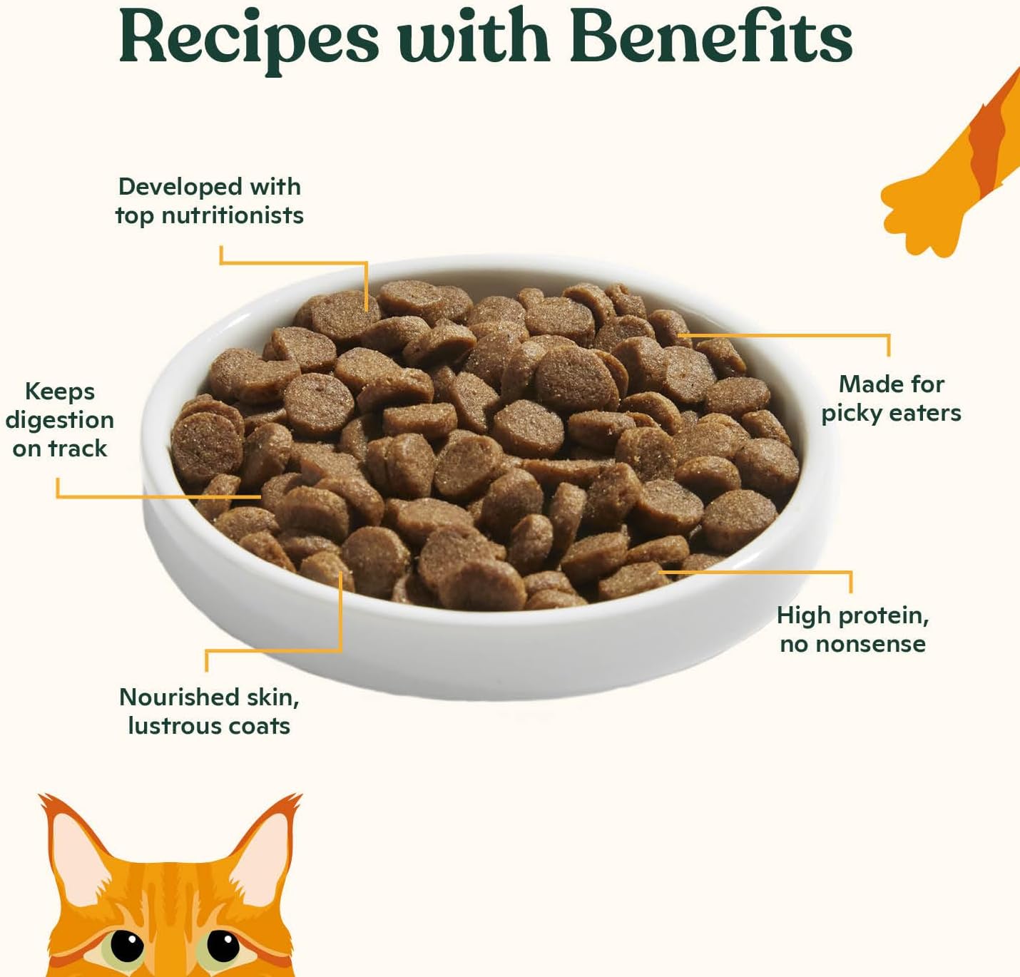 Made by Nacho Dry Cat Kibble 4lb Bag, High Protein and Grain-Friendly Premium Cat Food, Sustainably Caught Salmon and Pumpkin, Infused with Bone Broth for Hydration, Limited Ingredients, Single Bag