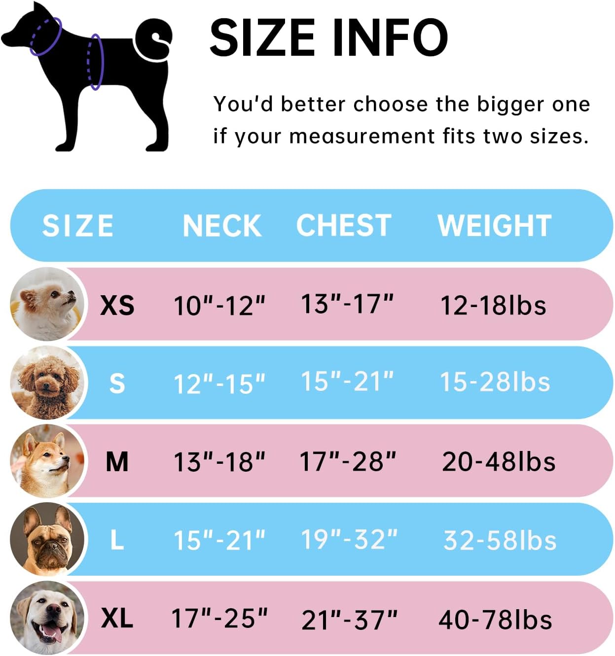 IVY&LANE No Pull Dog Harness for Large Dogs, Dog Vest Harness with Leash, Safety Belt and Storage Strap, Fully Adjustable Harness, 360° Reflective Strip, Soft Handle (Blue, L)