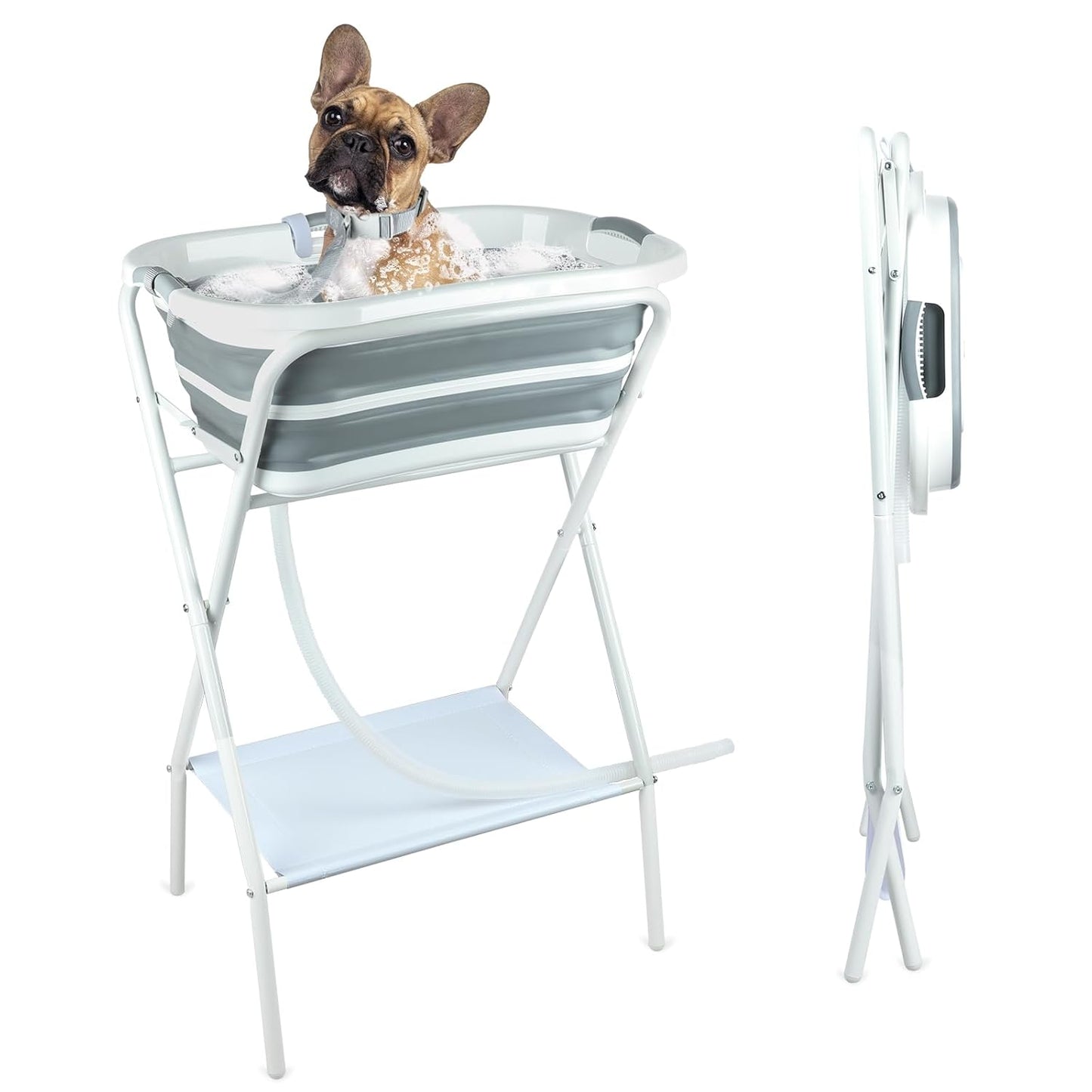 BWOGUE 2 in 1 Portable Dog Bath Tub Elevated Collapsible Dog Bathtub Washing Station with Drainage Hole for Bathing, Shower and Grooming, Pet Tub for Puppy Small Medium Dogs Indoor and Outdoor