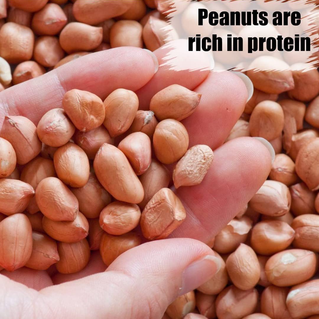 Old Potters Wildlife Shelled Peanuts, 5 lbs for Birds, Squirrels and Wildlife. USA Grown Non-GMO Raw Shelled Peanuts. Wildlife Grade, Not for Human Consumption.