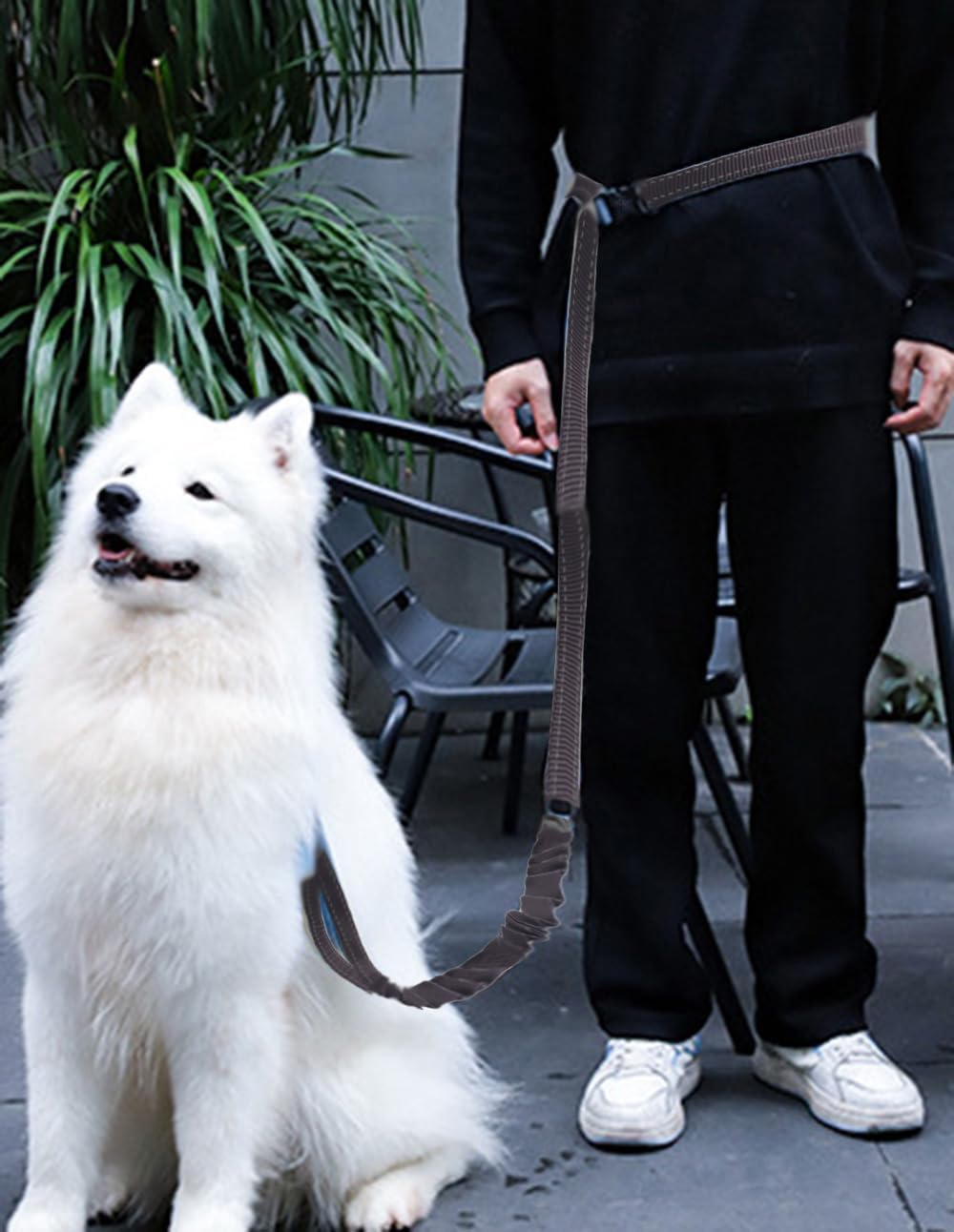 Hands Free Dog Leash for Large Medium Dogs Heavy Duty Bungee Reflective Adjustable Waist Leashes for Walking Running with Car Buckle 4-6FT (Black)