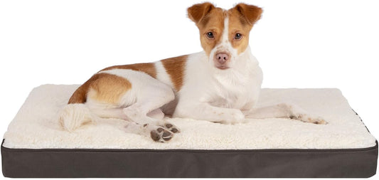 Best Pet Supplies Cute Dog Crate Mat Flat Bed with Waterproof Exterior, Thick Orthopedic Egg Foam Mattress, and Soft Sherpa Fleece Cover for Small, Medium, and Large Breeds - Brown, 35X22X4