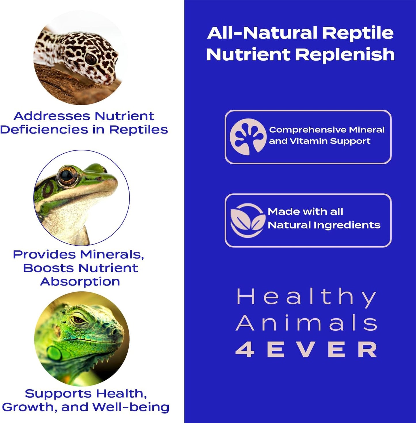 HA4E - Reptile Nutrient Replenish - Mineral & Vitamin Support for Balanced Nutrition, Skin Health, Growth & Vitality - 300 Tablets