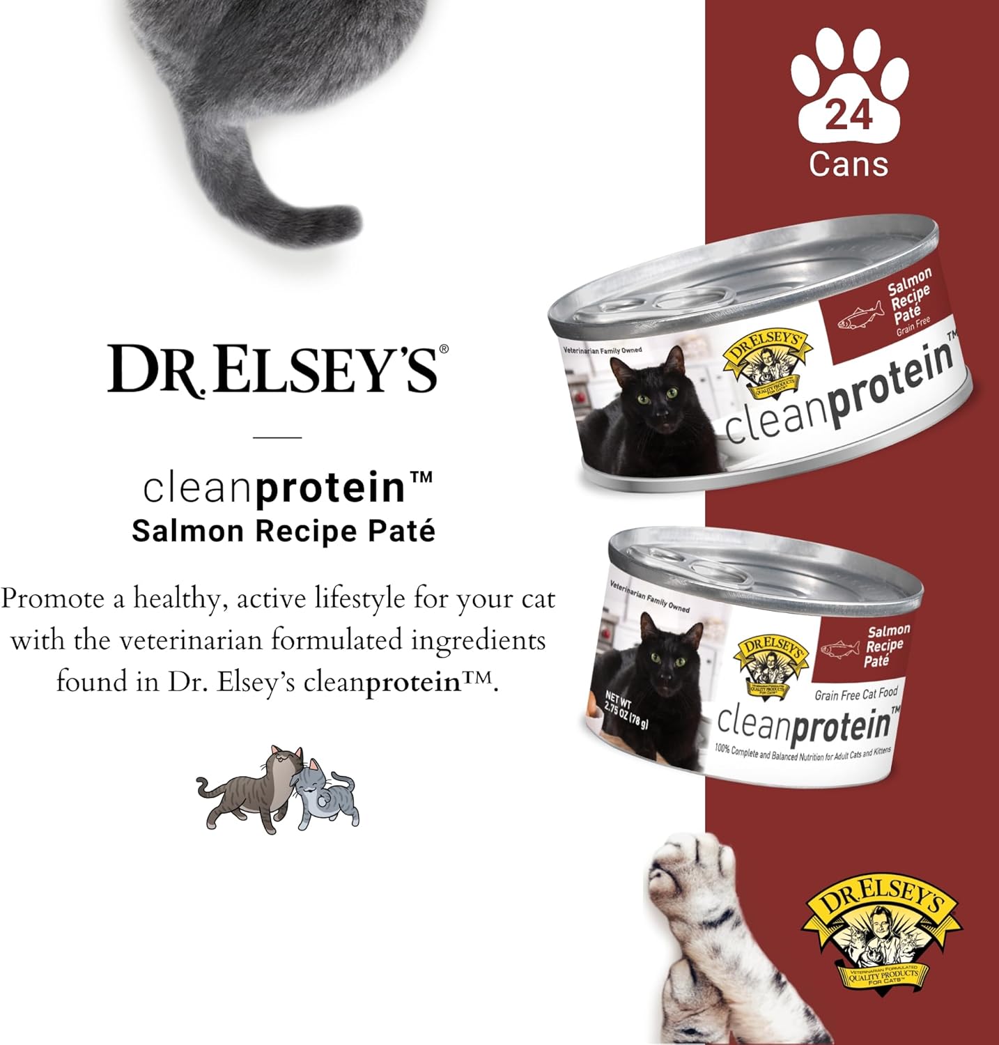 Dr. Elsey's cleanprotein Salmon Recipe Wet Cat Food, Pate 5.3 oz cans (Pack of 24)