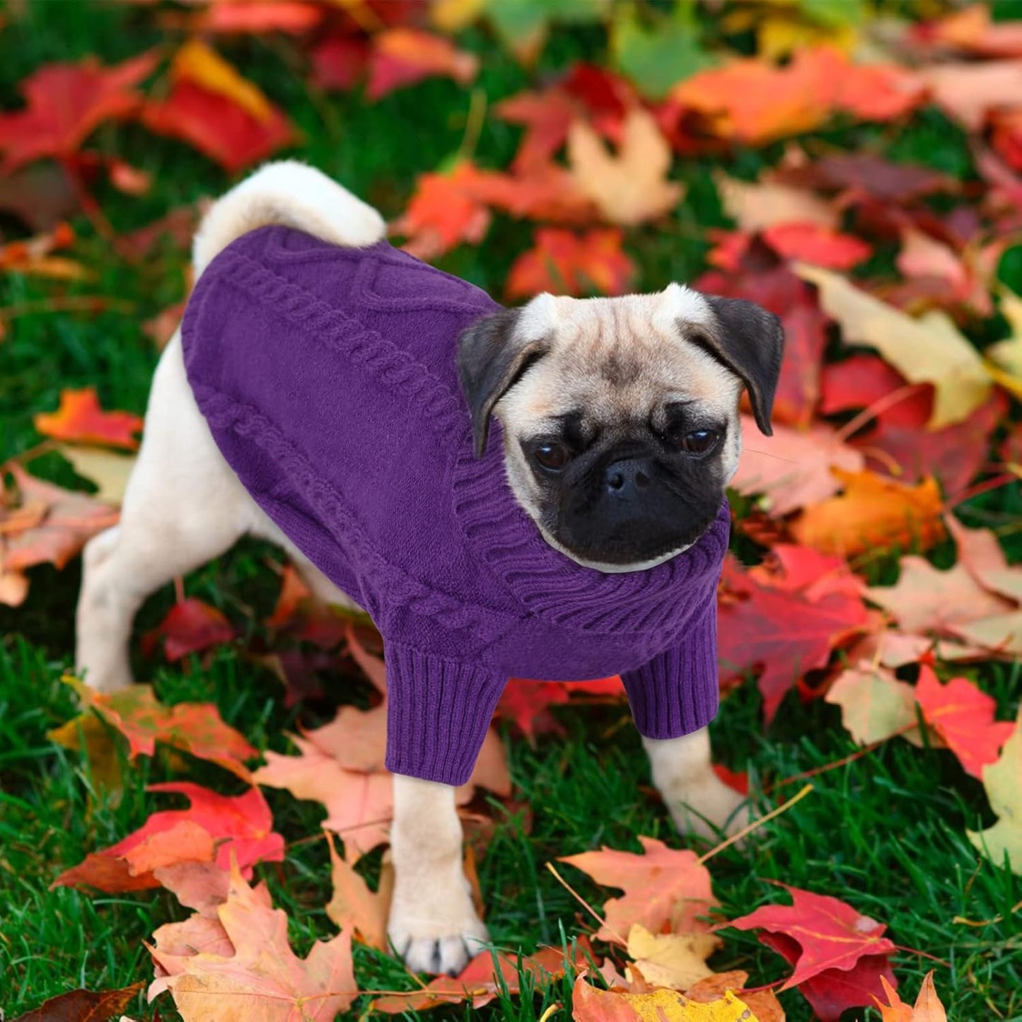 Queenmore Small Dog Pullover Sweater, Cold Weather Cable Knitwear, Classic Turtleneck Thick Warm Clothes for Chihuahua, Bulldog, Dachshund, Pug (Purple, Small)