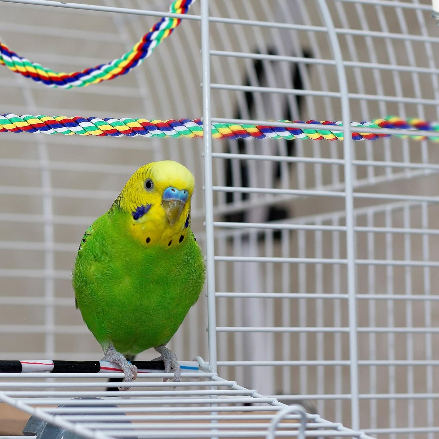 Weewooday 2 Pcs Bird Rope Perches Climbing Rope Bird Cage Accessories for Parrots, Parakeets, Cockatiels, Conures