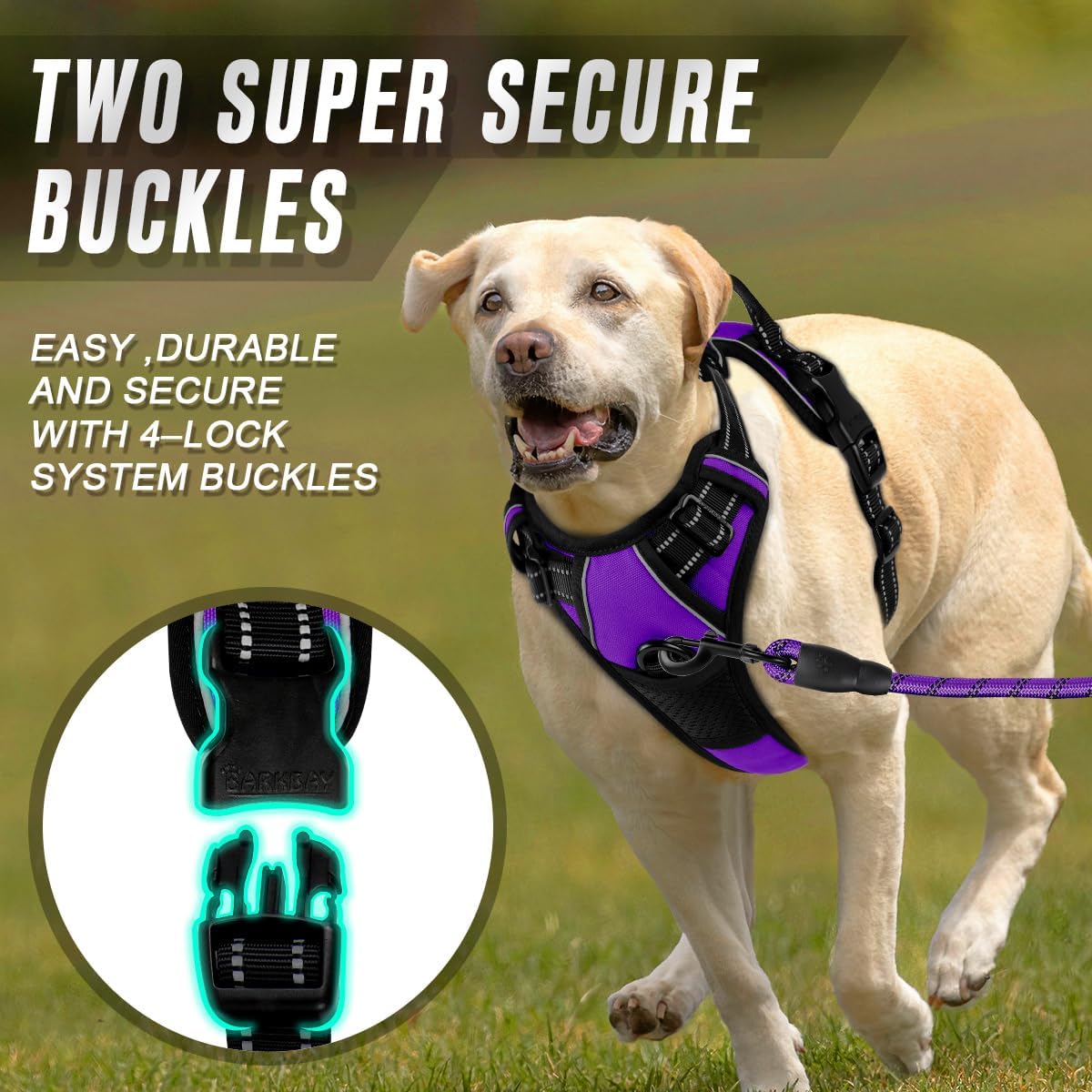 BARKBAY No Pull Dog Harness Front Clip Heavy Duty Reflective Easy Control Handle for Large Dog Walking(Purple,XL)