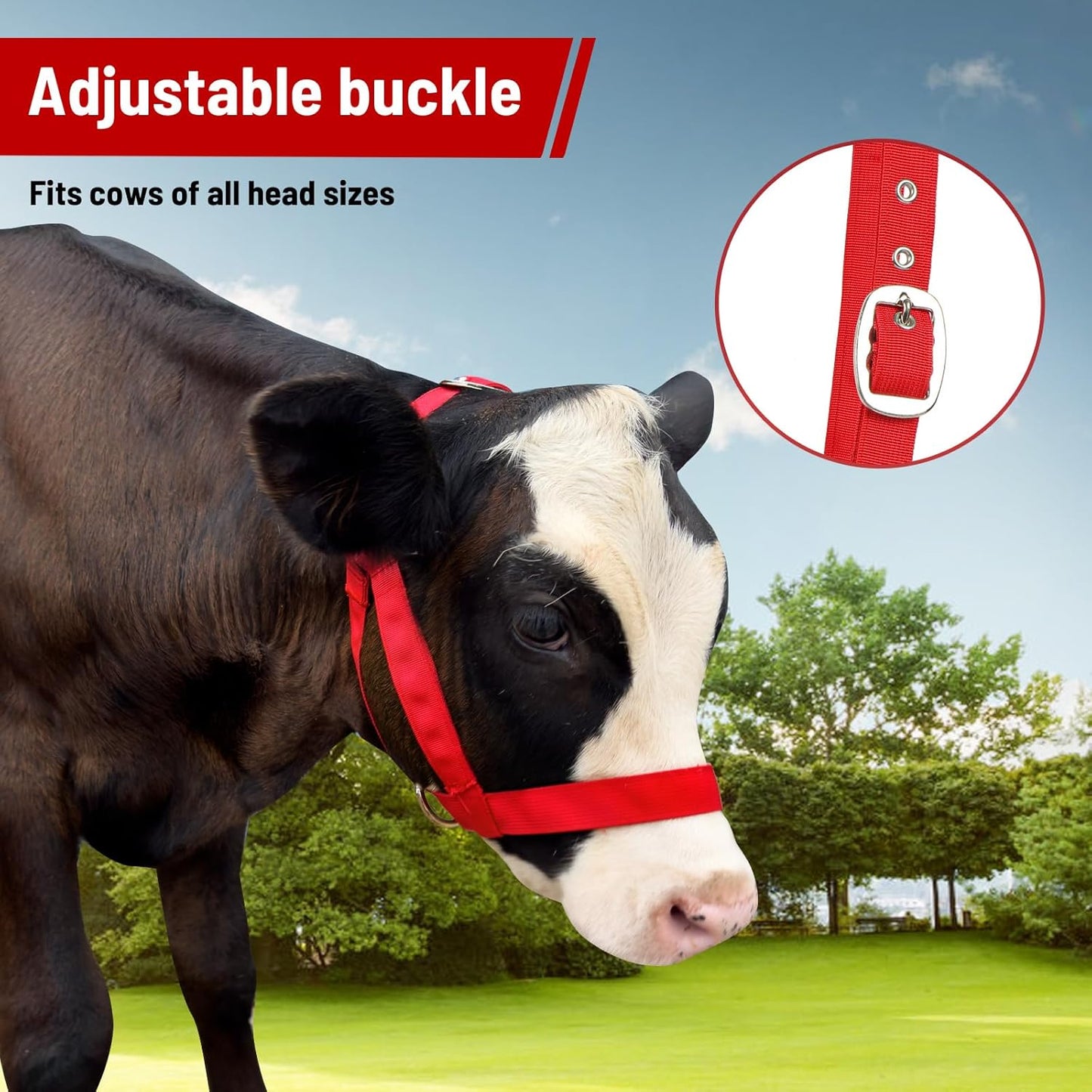 XUANNIAO Easily Adjustable Figure 8 Cow Halter, Double-Ply Premium Livestock Cattle Halters, Colorful Cow Utility Calf Halter with Leading Rope for Miniature Horse Donkey Goat Foal (Small, Red)