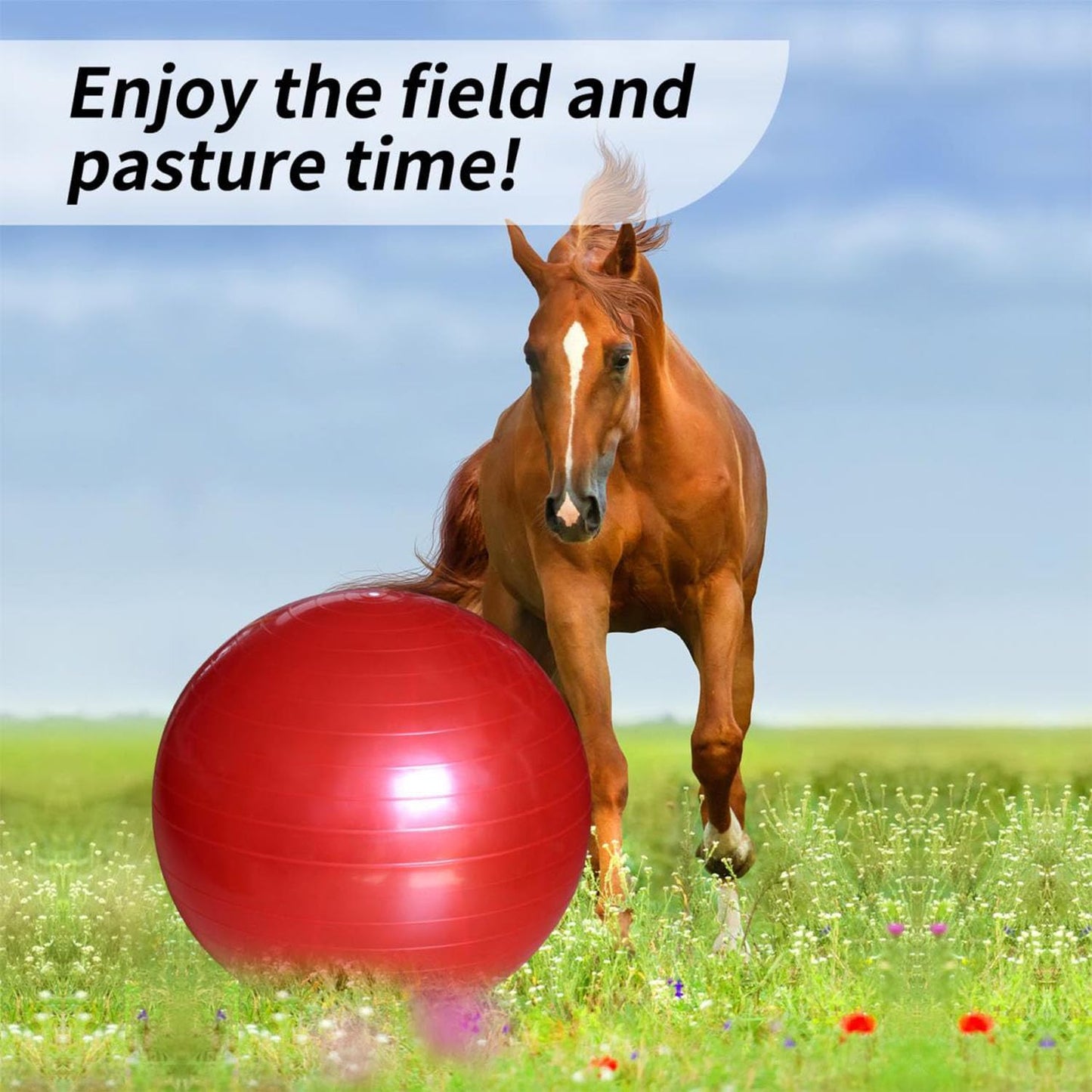 17-Inch Equine Ball for Play & Training - Anti-Burst, Mega Horse Soccer Ball for Goat, Donkey