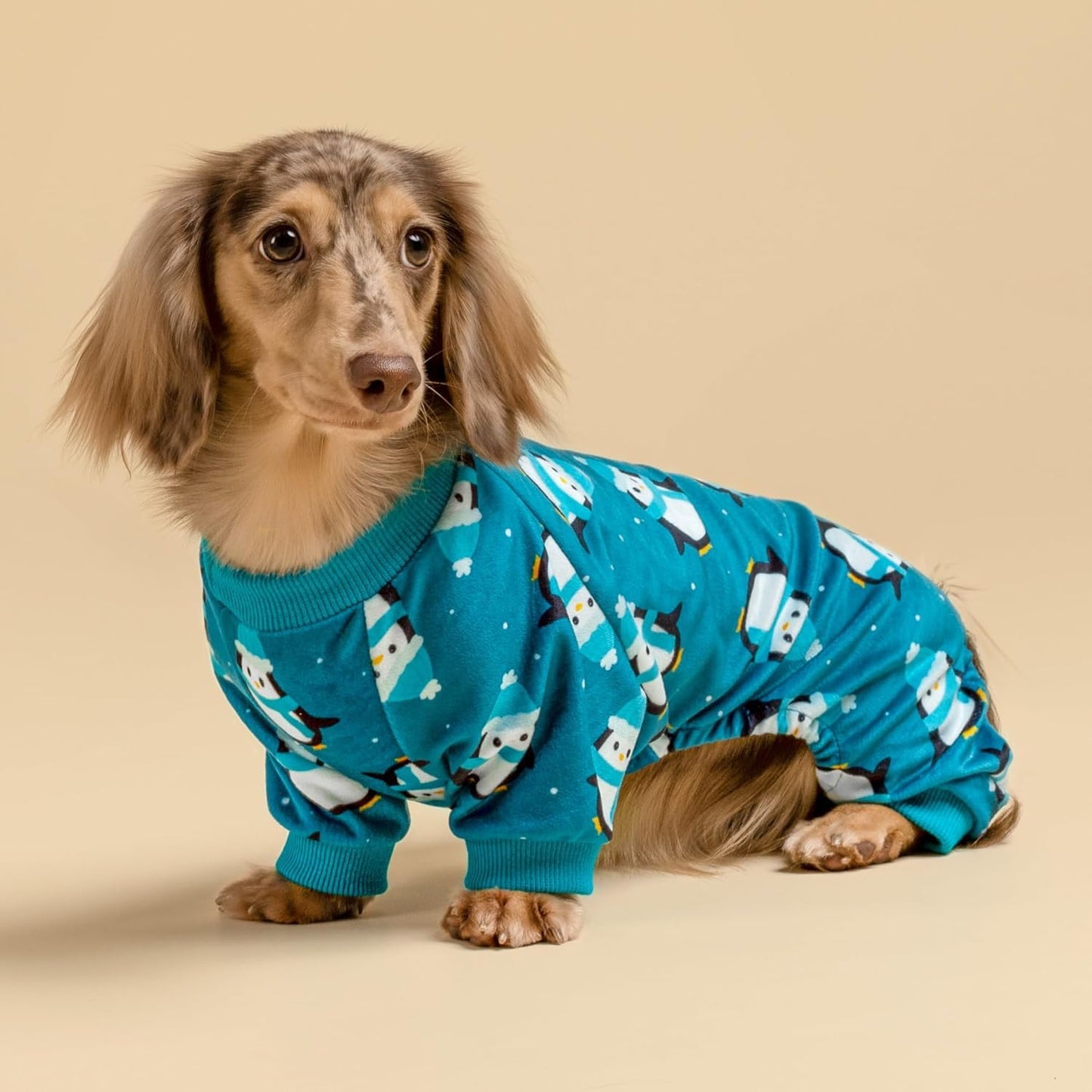 Fitwarm Cute Penguin Dog Pajamas, Dog Winter Clothes for Small Dogs Girl Boy, Cozy Dog Onesie, Soft Pet Jammies, Doggy Apparel, Teal Blue, Small