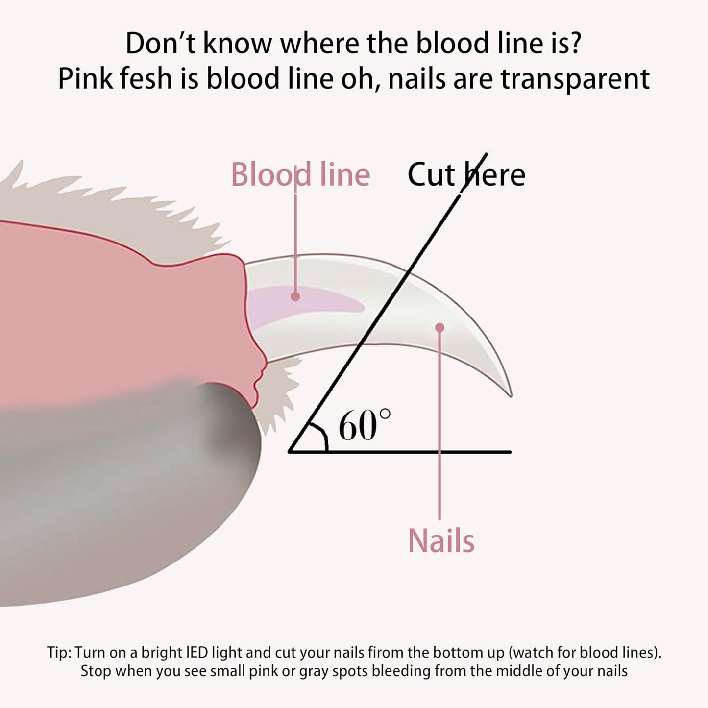 Pet Nail Clippers with LED Lights cat Nail Clippers for Indoor Cats Nail Trimmer Clippers for Small Dog Nail Trimmers Cats Rabbits Nail Clippers Bird Kittens (Pink)