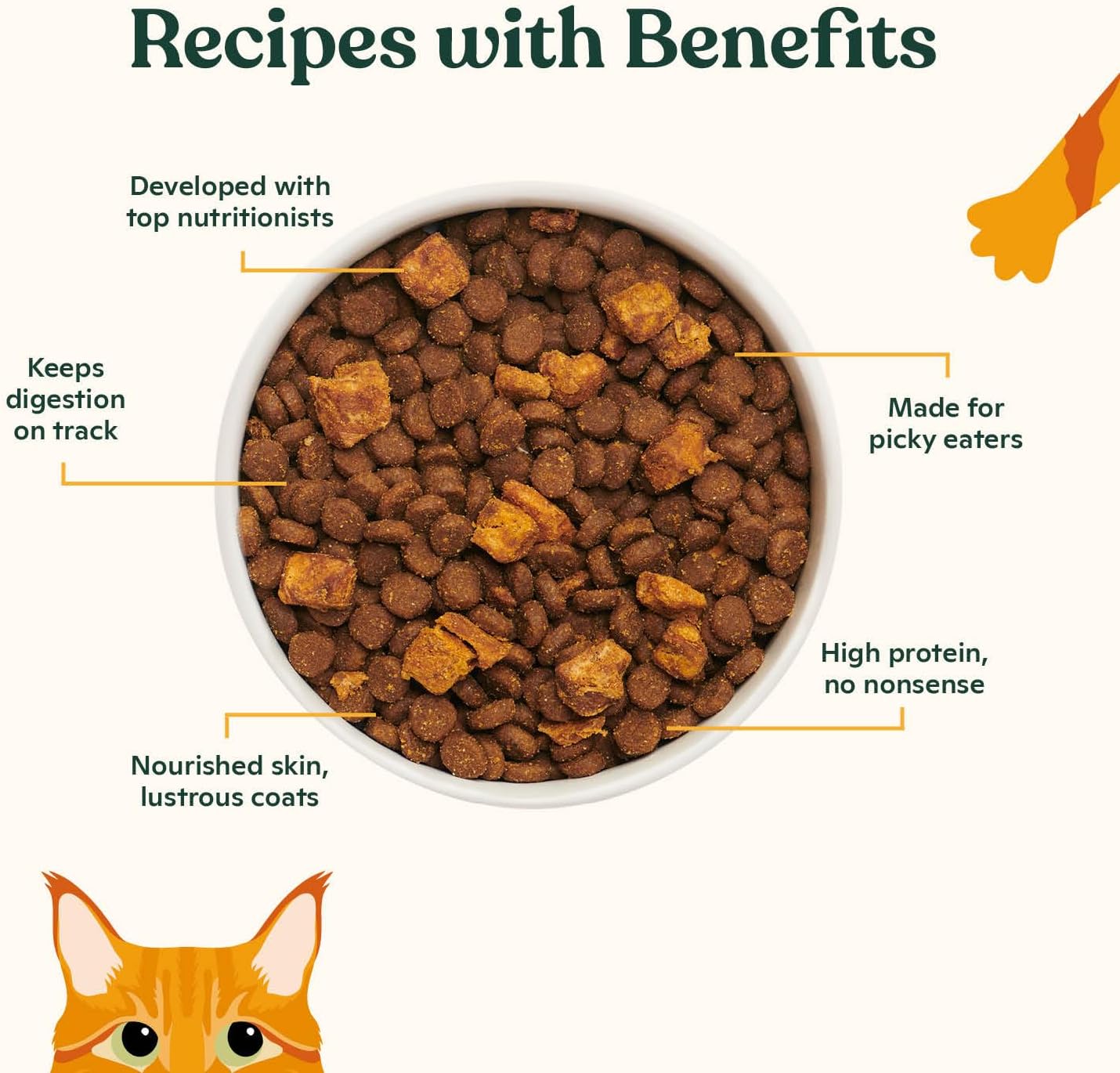 Made by Nacho Dry Cat Kibble 10lb Bag, High Protein Premium Cat Food with Freeze-Dried Pieces, Cage-Free Chicken, Duck & Quail, Limited Ingredients, Single Bag