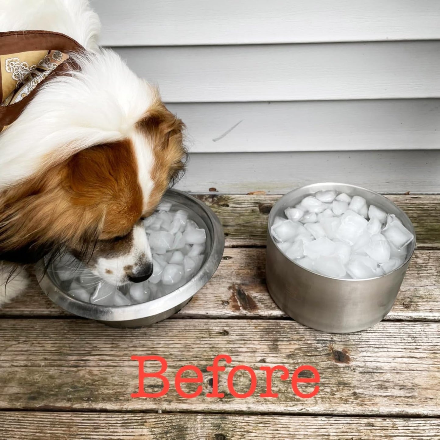 1Gallon Double Layer 304 Stainless Steel Dog Bowl - Insulated & Durable | Non-Slip Base | Easy to Clean | BPA-Free Safe Dog Water Bowl[128oz for Large Giant Breeds]