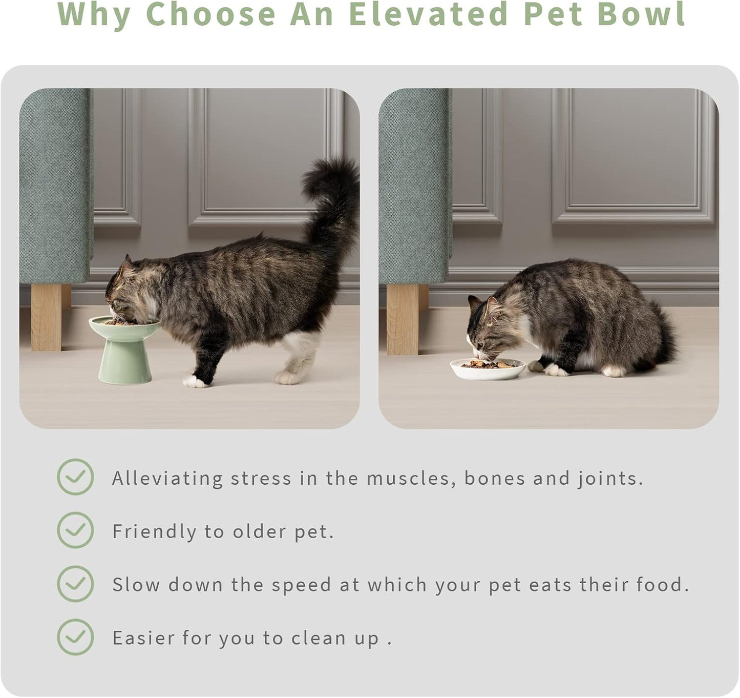 Extra Wide Elevated Ceramic Cat Bowl, 6.2" Shallow Dish for Whisker Fatigue Relief, 5" Height for Easy Feeding, Durable Raised Cat Food Bowls, Pack of 2, Sage Green