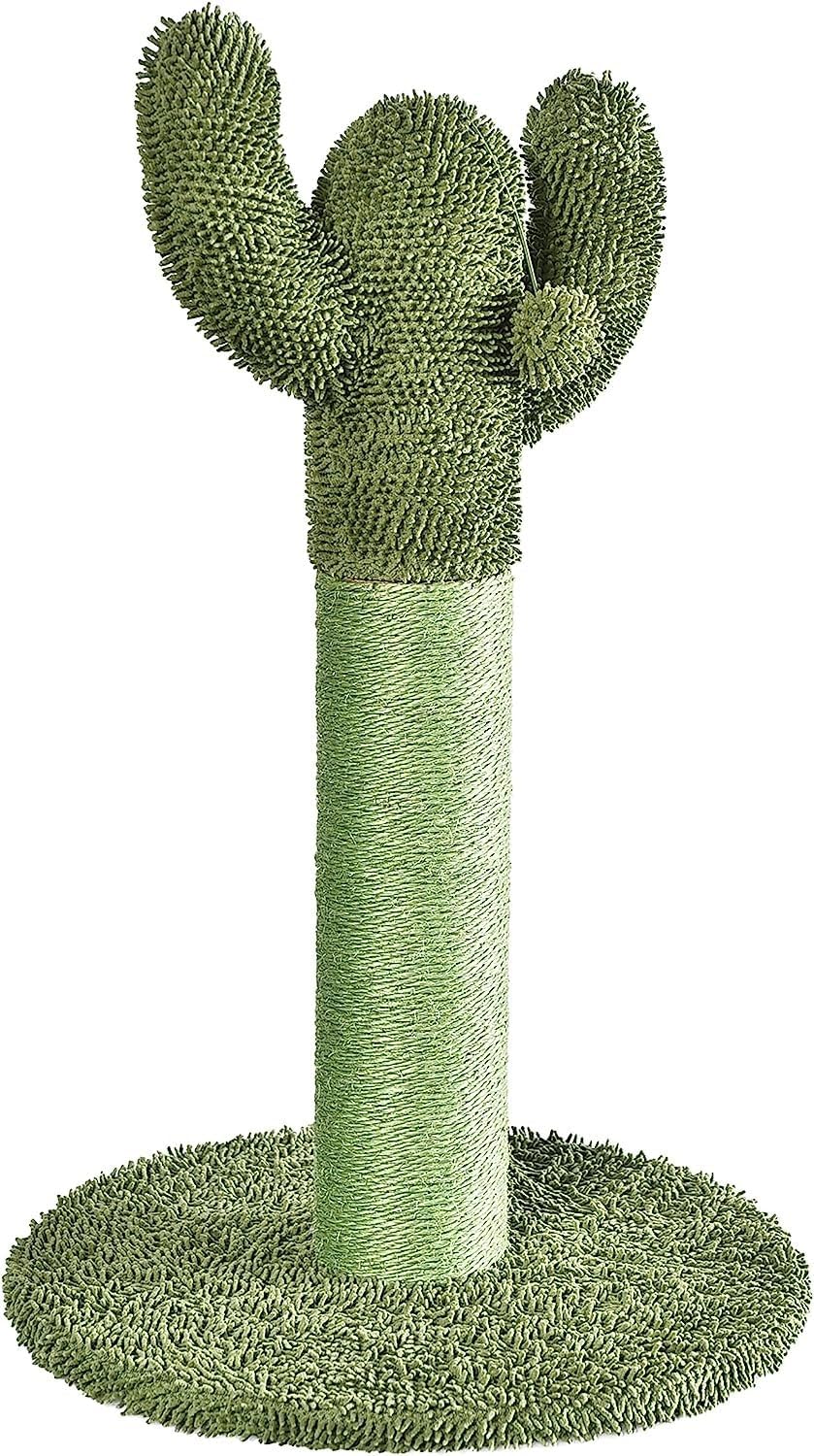 Amazon Basics Cat Scratcher - Indoor Cactus Single Cat & Kittens Scratching Post with Dangling Ball, Medium (25.6"H) - Green