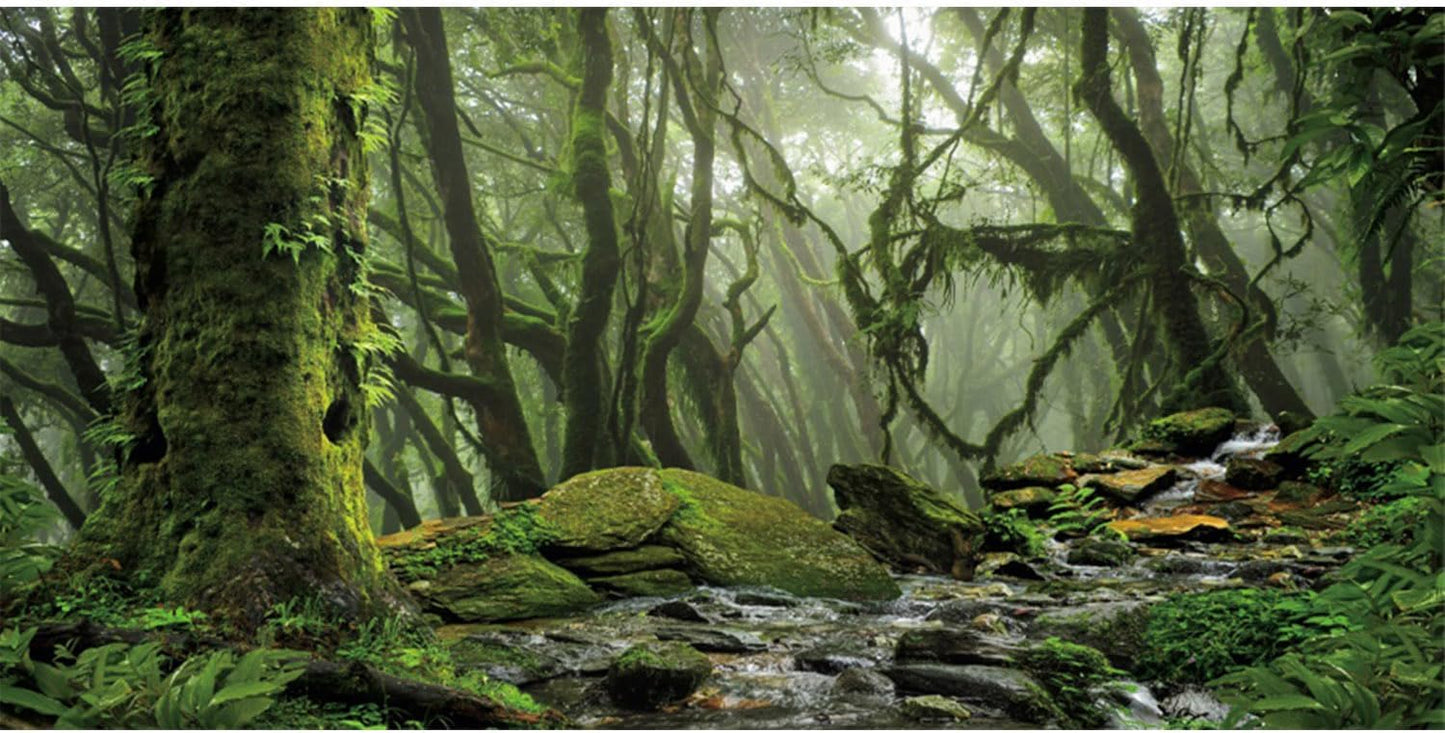 AWERT Foggy Forest Terrarium Background - Stream Green Huge Tree Reptile Habitat - Tropical Rainforest Aquarium - 60x24 inches Polyester