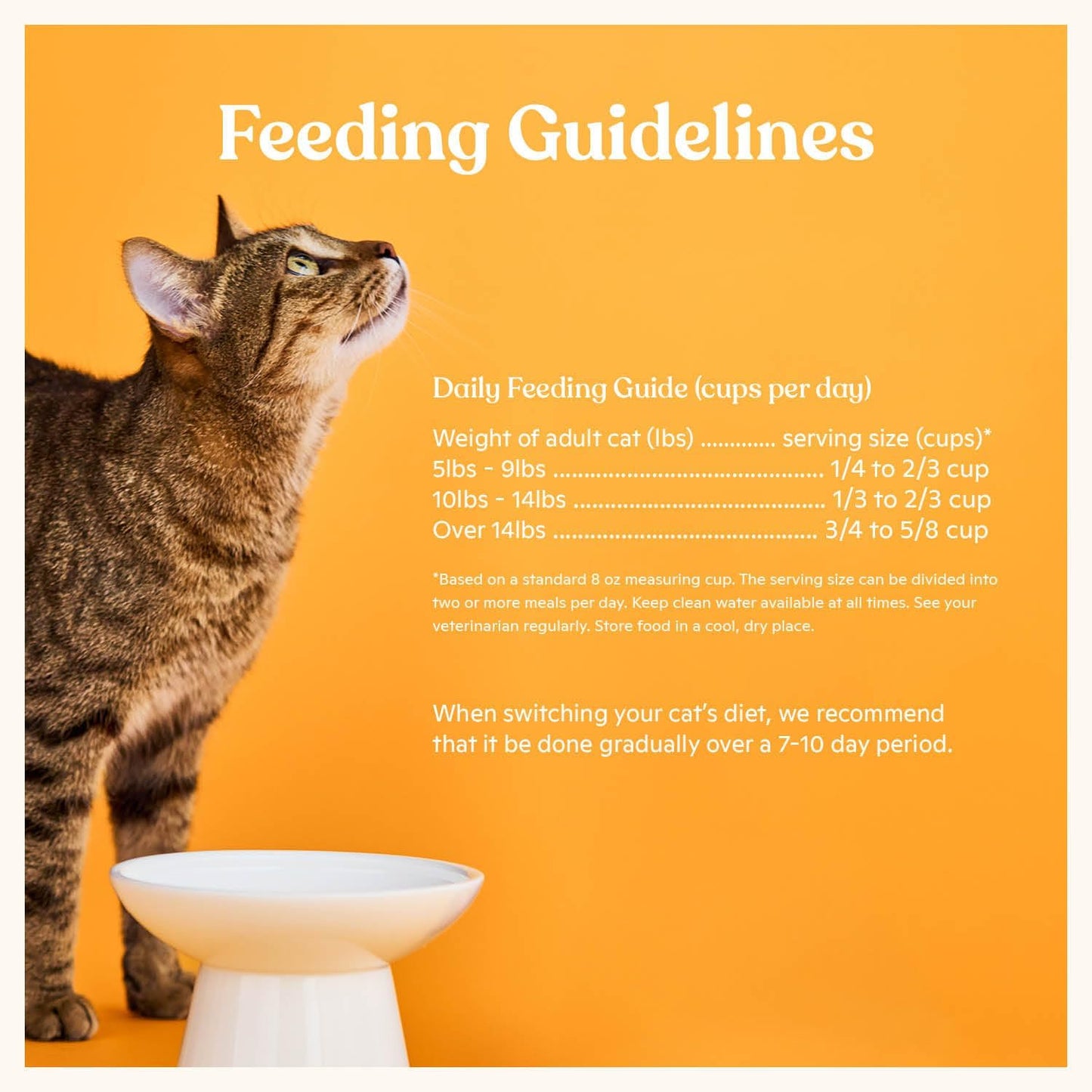Made by Nacho Dry Cat Kibble 2lb Bag, High Protein and Grain-Friendly Premium Cat Food, Cage-Free Chicken & Pumpkin Recipe, Infused with Bone Broth for Hydration, Limited Ingredients, Single Bag