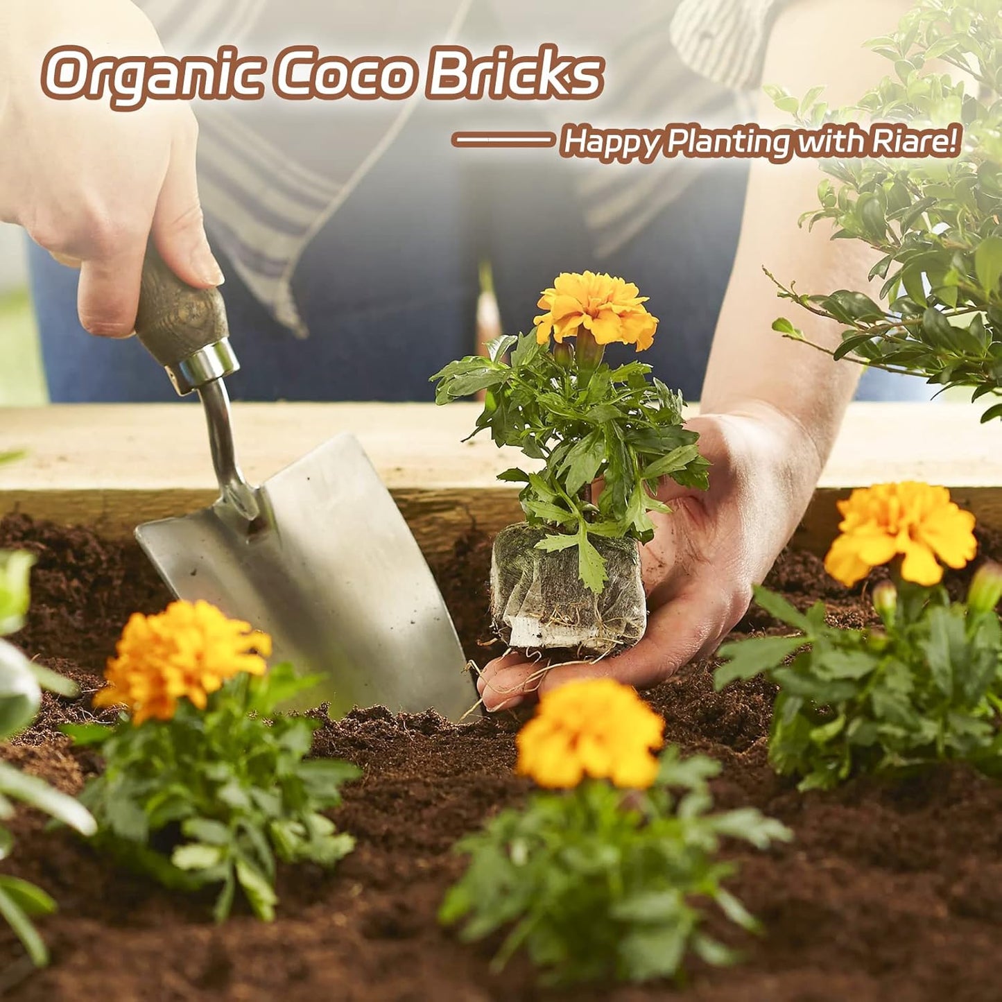 Riare 8pcs Organic Coco Coir Bricks Soil Blocks- 100% Natural Compressed Coco Peat Brick Coconut Fiber Substrate with Low EC& pH Balance, High Expansion Coco Coir Pith Coconut Husk for Garden