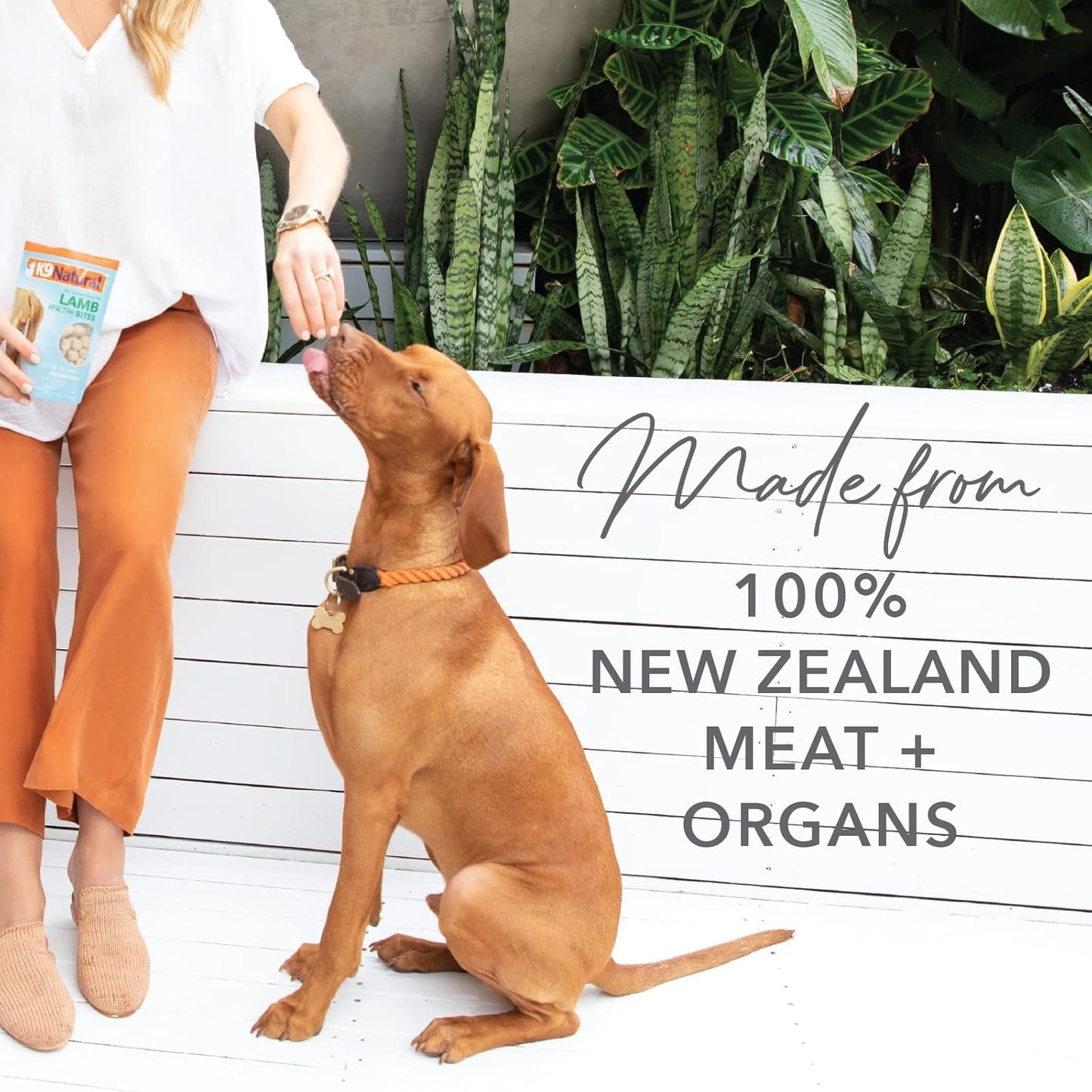 K9 Natural, Freeze-Dried Single Ingredient Dog Treats, High-Value, Low-Calorie Protein Bites for Active Dogs, Healthy Dog Training Treats, Grain-Free Reward, Beef & Organs, 1.76oz