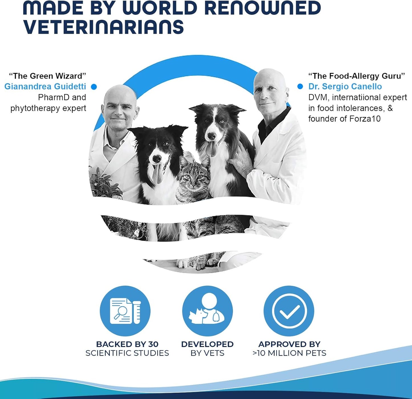 Forza10 Active Intestinal Support Diet Dry Cat Food for Adult Cats, Cat Food Dry for Upset Stomach, Diarrhea and Intestinal Disorders, Wild Caught Anchovy Flavor, 4 Pound Bag