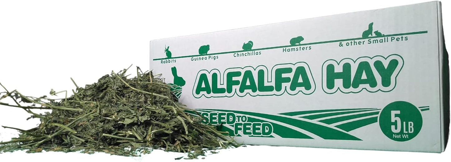 High Desert Alfalfa Hay for Rabbits, Guinea Pigs, Chinchillas & Small Pets – Protein-Rich Natural Hay for Young, Growing Animals – High-Fiber, Hand-Packed, Additive-Free, Grown in USA – 5 lb Box