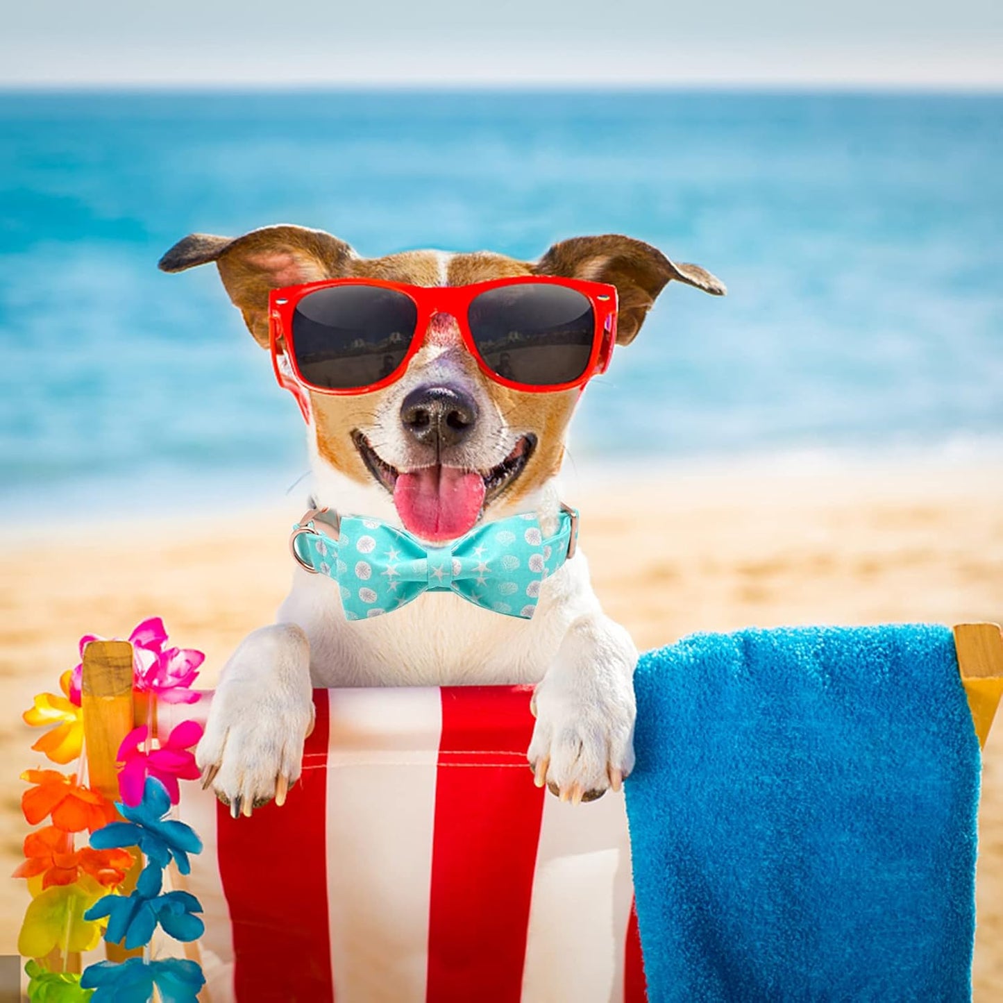 Elegant Little Tail Summer Dog Collar with Bow, Cute Bowtie for X-Small Puppy and Cat