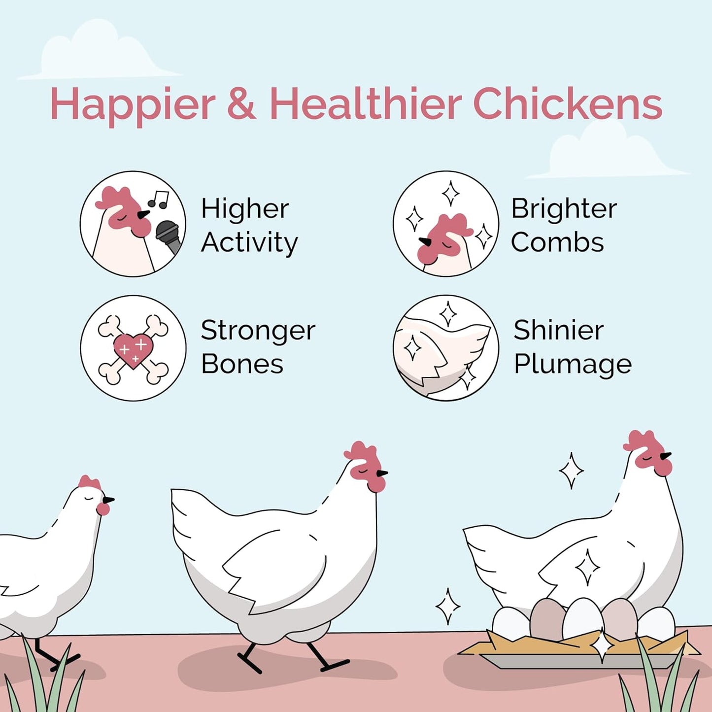 Organic Chicken Feed – Layer Mash, Non-GMO, USA Grown, 16% Protein, Corn-Free, Soy-Free, Non-Medicated Feed for Chickens, 2 lbs Sample