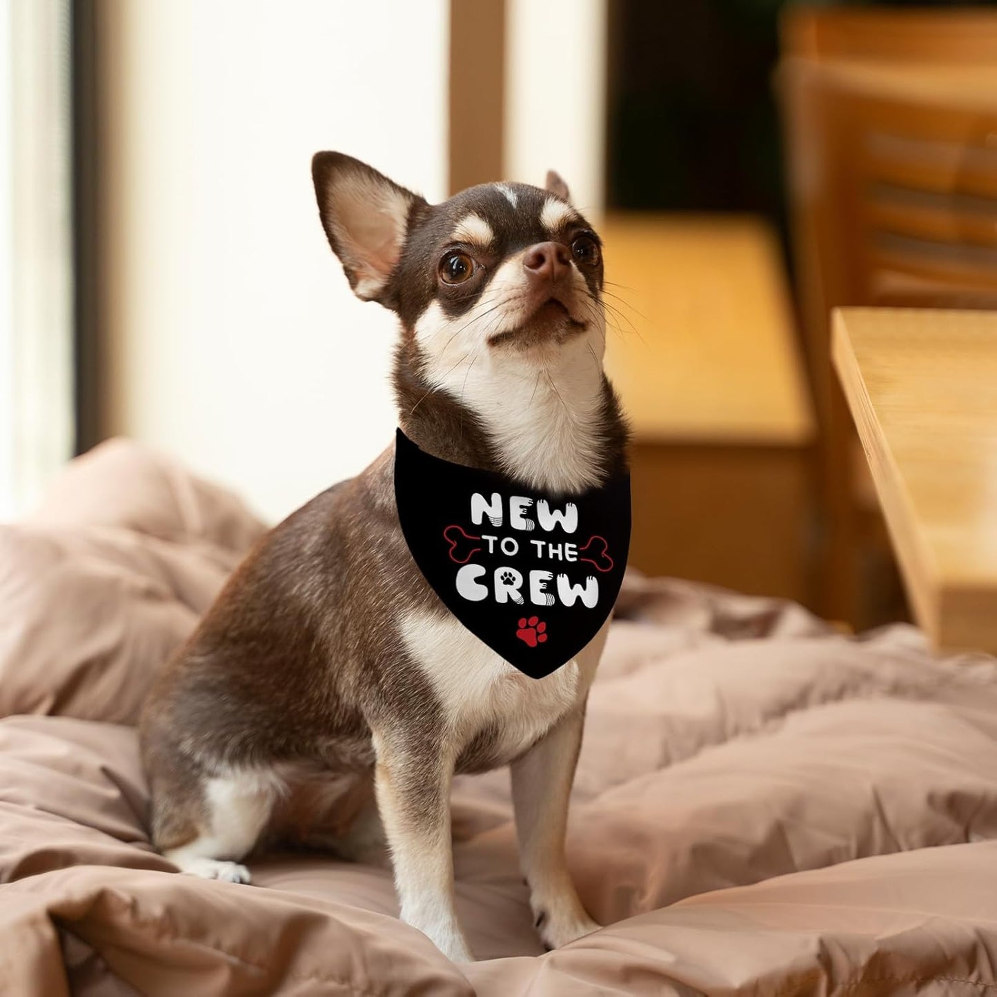 Dog Bandana 2 Pcs, Baby Pet Scarf Gifts for Dog Girl Boy, Black and White Triangle Puppy Scarf Kerchief Bandana for Small Medium Pet Dogs On Birthday, Paw Print Gifts for Dogs Lovers