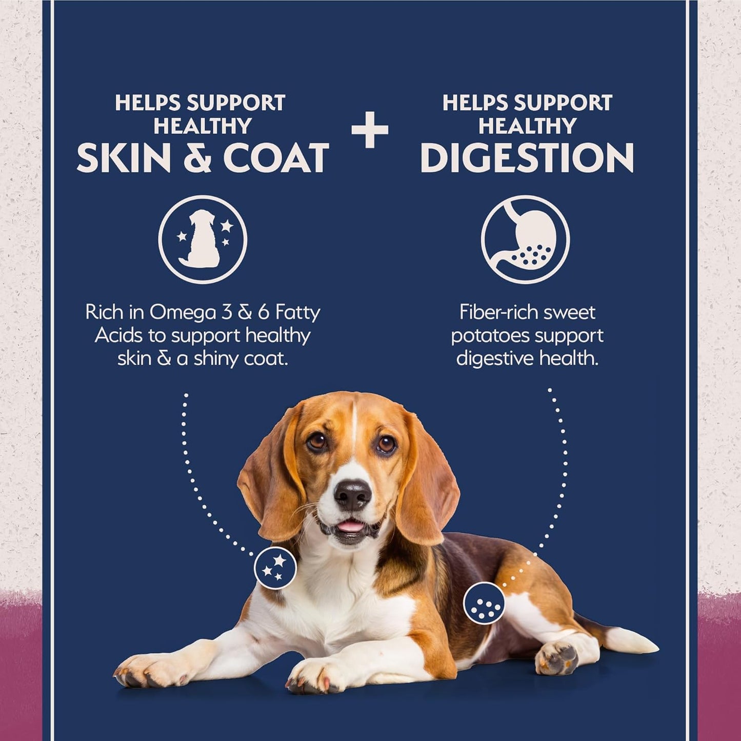 Natural Balance Limited Ingredient Adult Grain-Free Dry Dog Food, Reserve Sweet Potato & Venison Recipe, 22 Pound (Pack of 1)