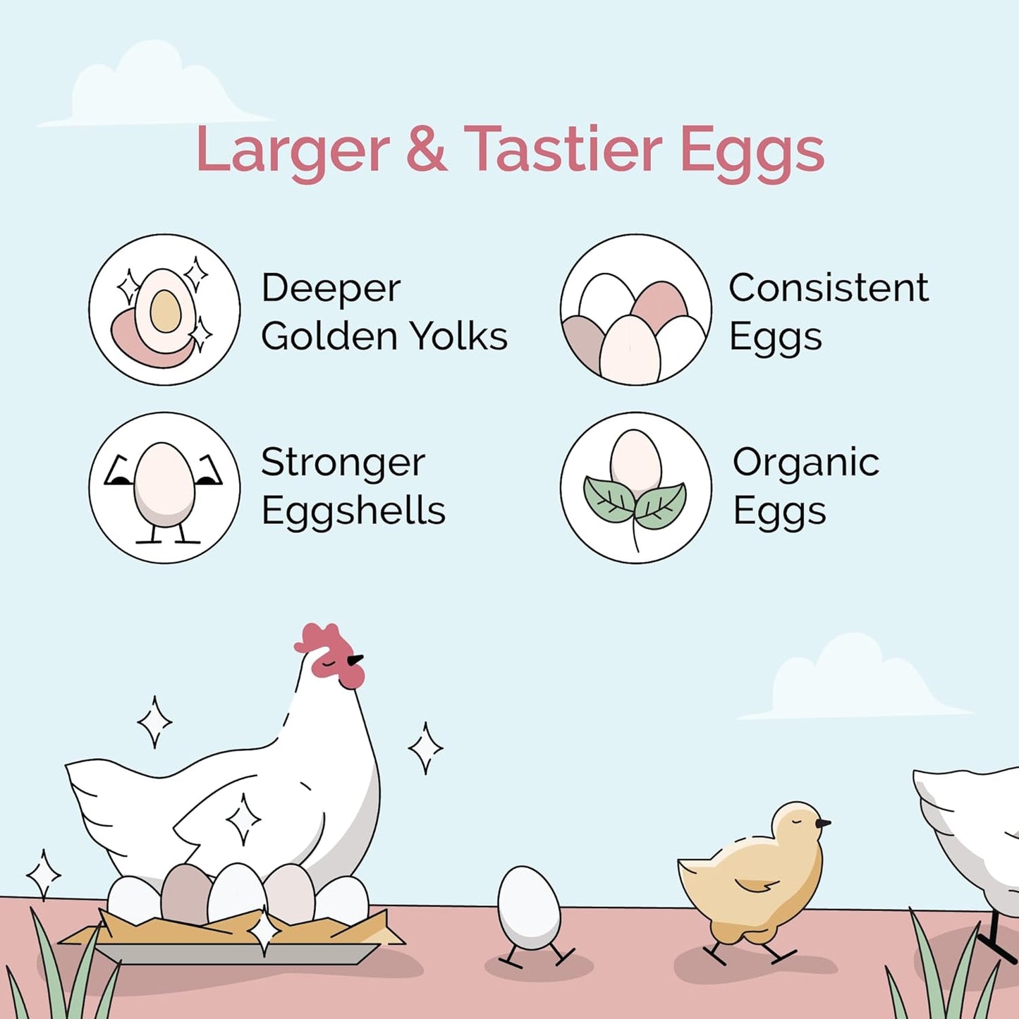 Organic Chicken Feed – Layer Whole Grain, Non-GMO, USA Grown, 16% Protein, Corn-Free, Soy-Free, Non-Medicated Feed for Chickens, 46 lbs