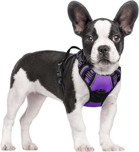 rabbitgoo Dog Harness No Pull with 2 Leash Clips, Adjustable Soft Padded, Reflective Oxford No Choke Pet Vest with Easy Control Handle for Small Dogs, Purple, S