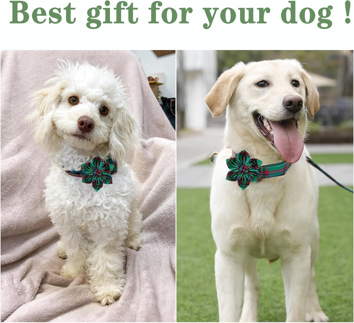 Unique style paws Dog Collar with Flower Tie Christmas Dog Collar for Small Medium Large Dogs with Adjustable Metal Buckle -XL