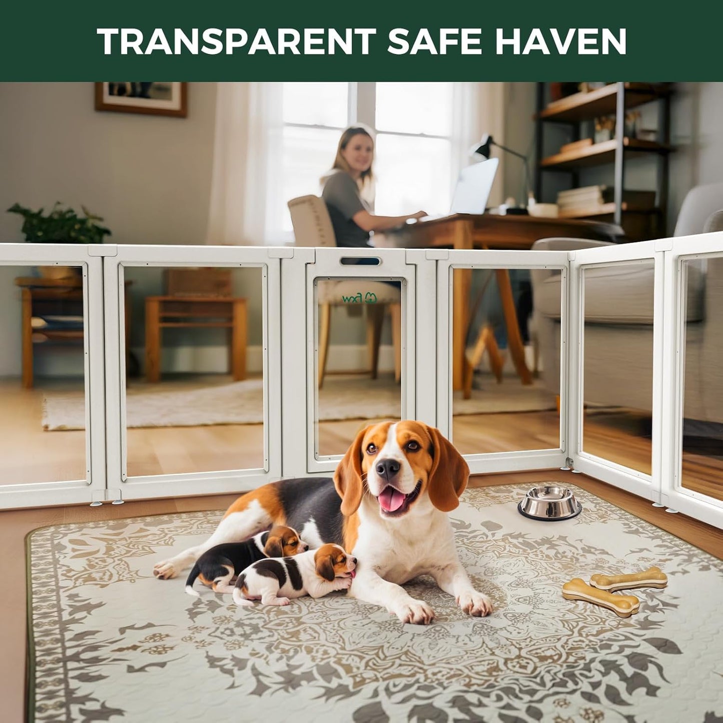 FXW AuraSpace Acrylic Indoor Unleashed Dog Playpen for Medium Dogs, 35 Inch, 6 Panels, White