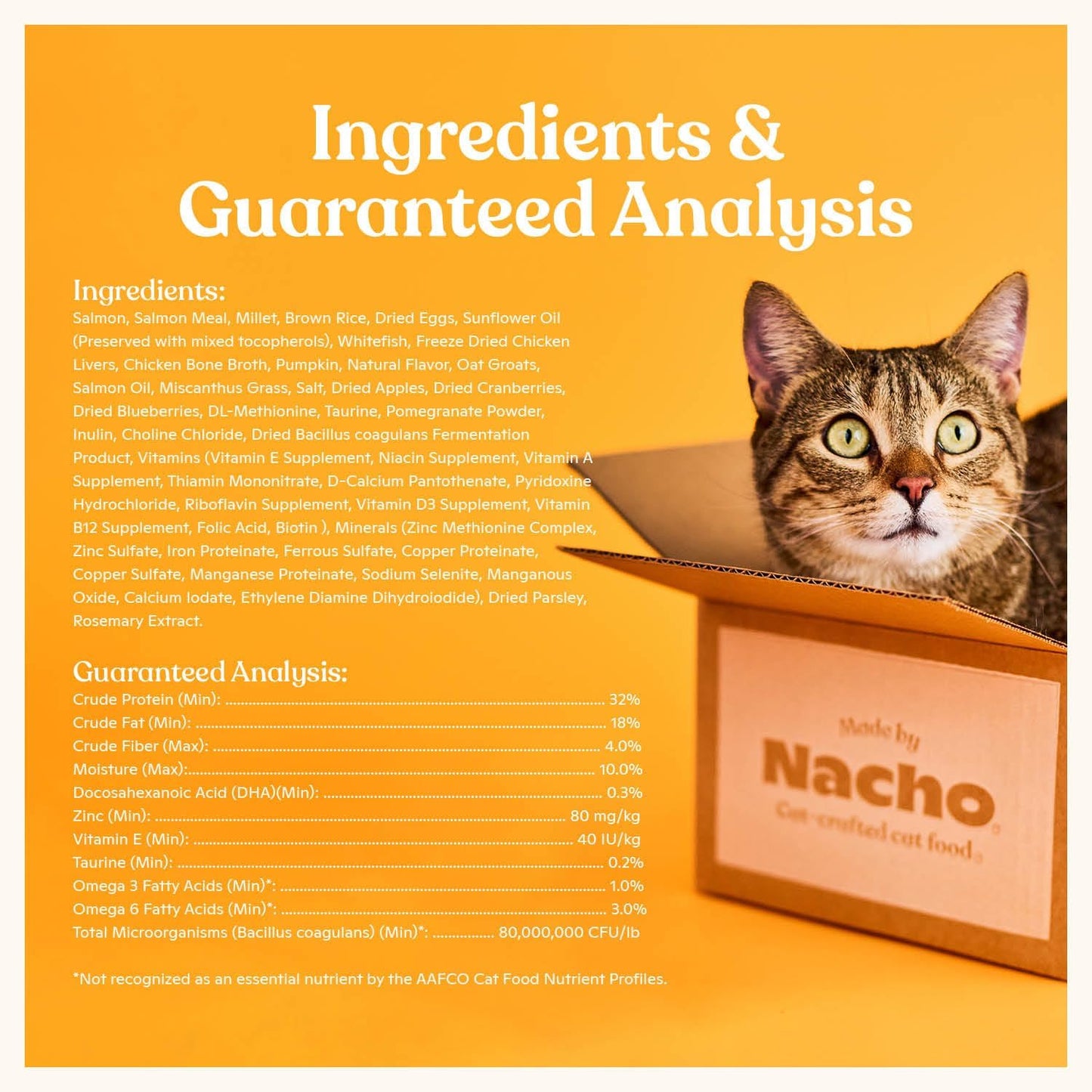 Made by Nacho Dry Cat Kibble 4lb Bag, High Protein Premium Cat Food with Freeze Dried Pieces, Sustainably-Caught Salmon, Whitefish & Pumpkin, Limited Ingredients, Single Bag