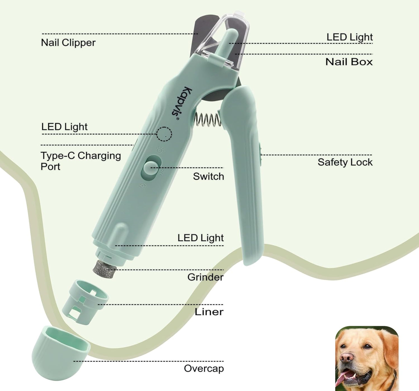 2-in-1 Dog & Cat Nail Clipper and Grinder,LED Lights & Safety Guard for Large Medium Small Dogs Cats Claw Trimmer,Claw Grooming Tool for for Cats and Small Dogs