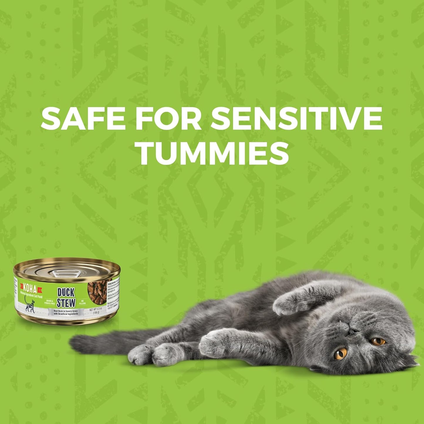 KOHA Minimal Ingredient Duck Stew for Cats, High Protein Limited Ingredient Wet Cat Food, 5.5oz Cans (Case of 24)