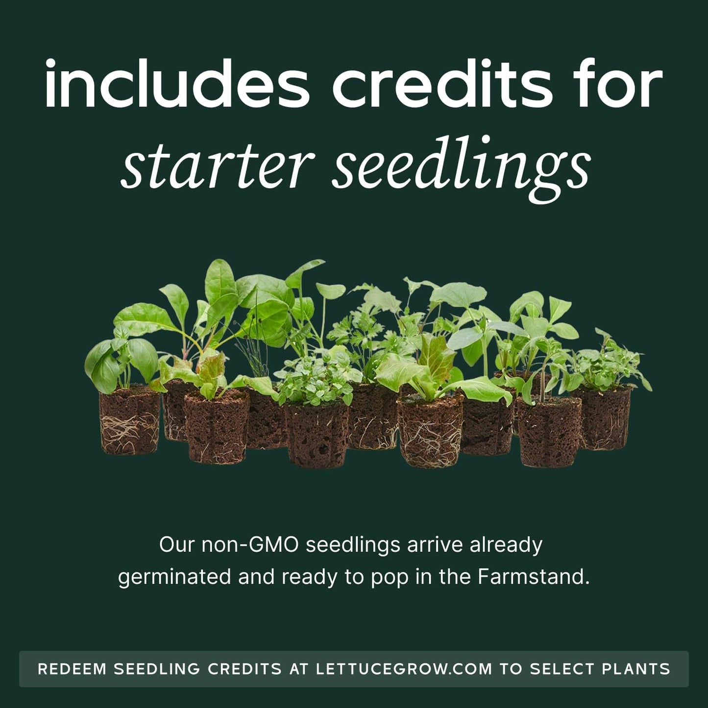 Farmstand Starter Kit + 36 Seedling Credits | Large Hydroponic Growing System Kit | Self-Watering Outdoor Vertical Garden Planter Tower | 6ft 1in | Made in USA