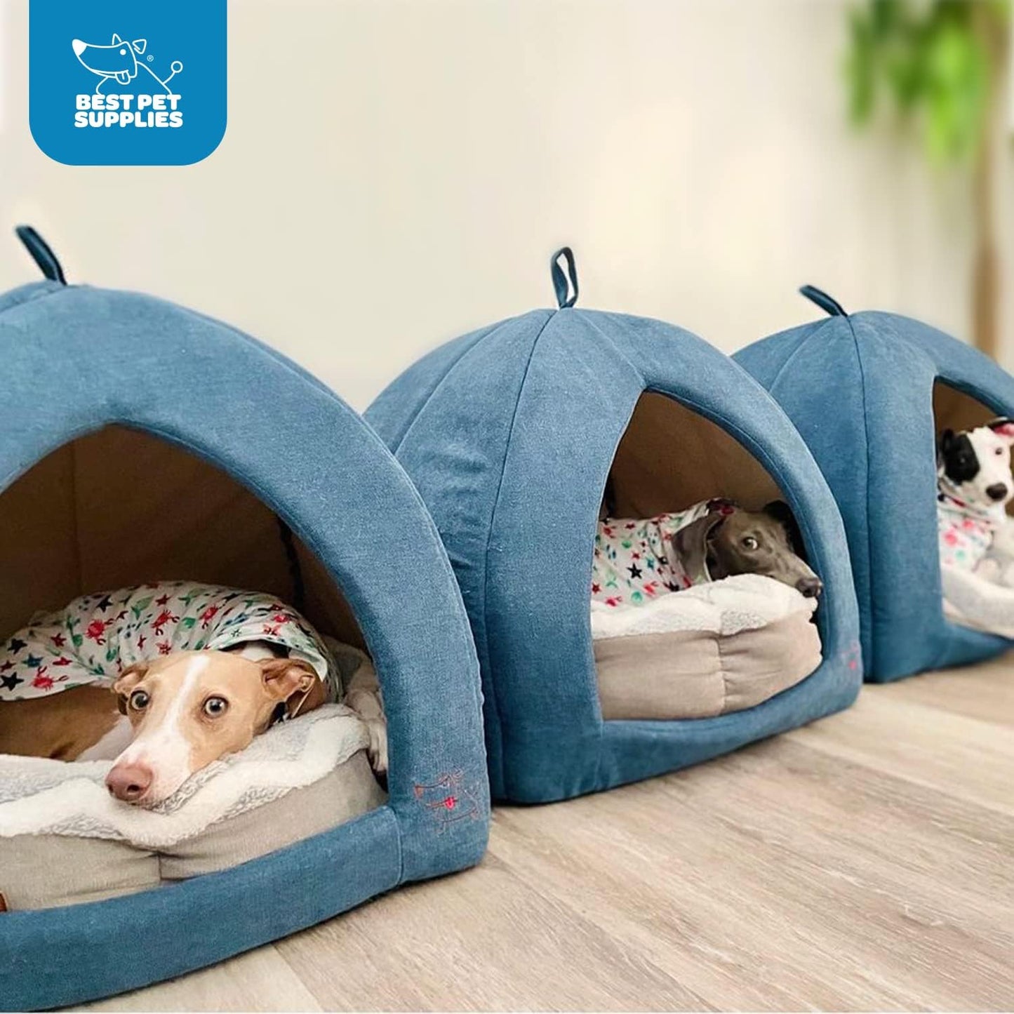 Pet Tent-Soft Bed for Dog and Cat by Best Pet Supplies - Navy, 19" x 19" x H:19"