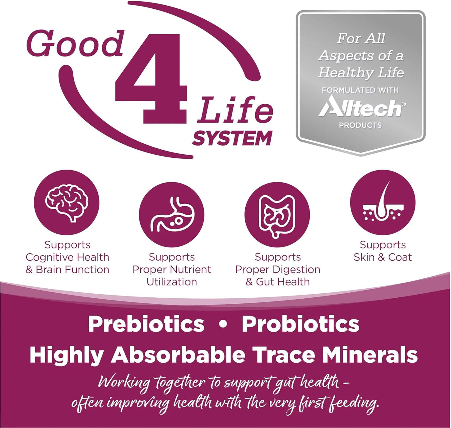 NutriSource Cat & Kitten Food, Chicken and Rice, 4LB