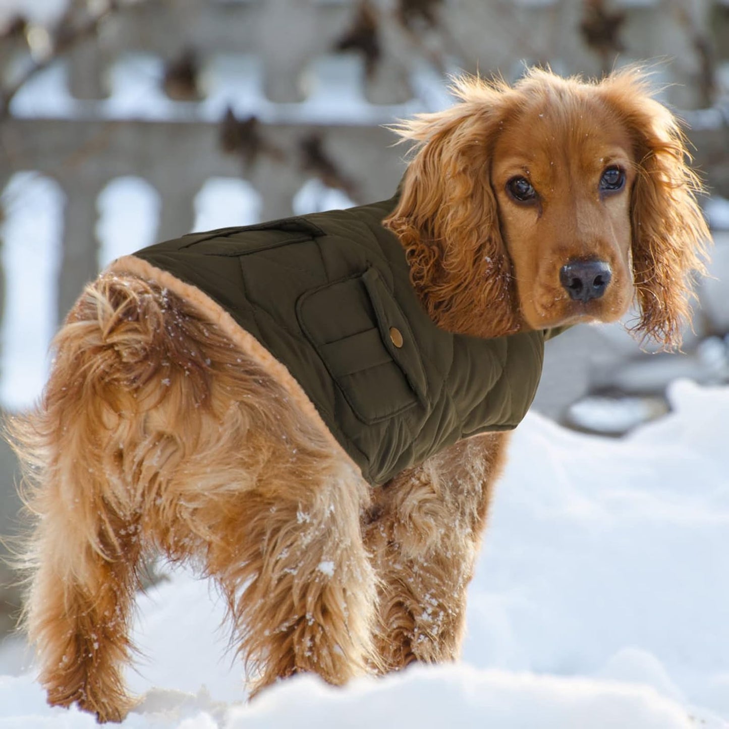 Queenmore Warm Puffer Dog Coat, Quilting Winter Jacket Ultra Thick Plush Lining with Storage Pockets (Green, X-Small)