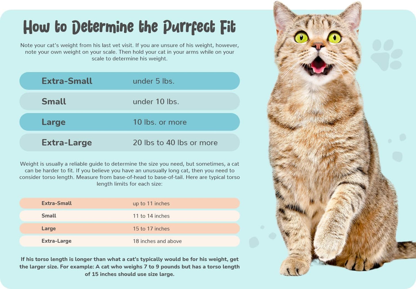 Cozy Comfort Carrier - Small Soft Red Cat Carrier and Cat Restraint Bag for Nail Trimming, Vet Visits, Medication Administration, Dental Care, and Travel