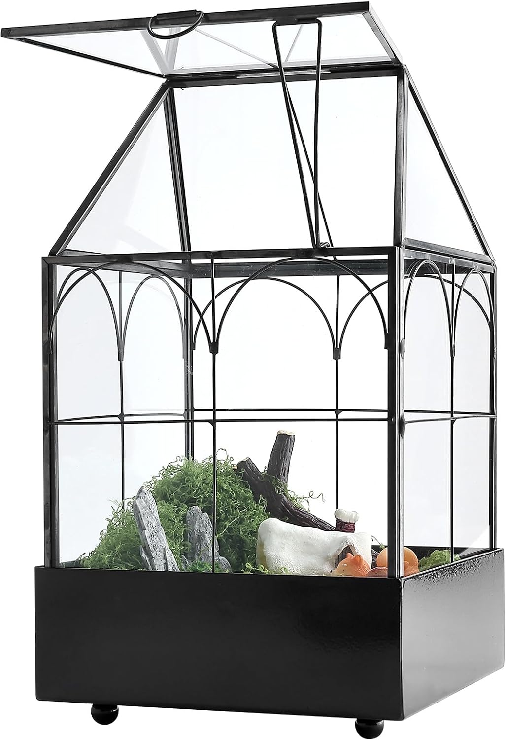 HighFree Glass Terrarium with Metal Tray, Glass Greenhouse Terrarium Kit for Succulents, Cacti, Snails, Spiders, and Miniature Reptiles, Black (Small-5.9" L x 5.9" W x 10.2" H)