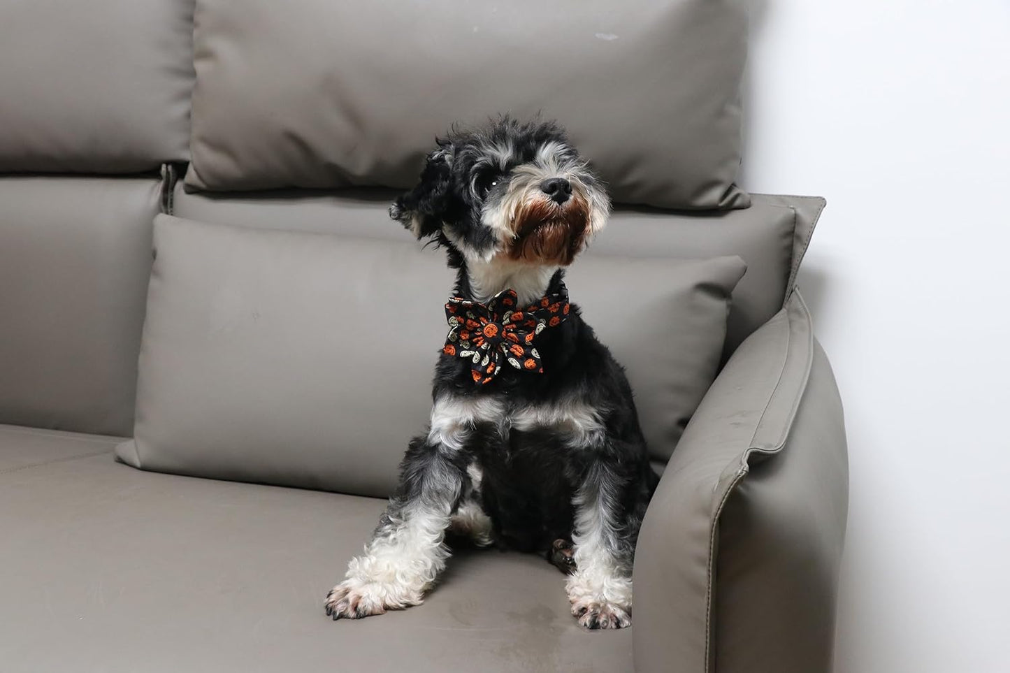 Lionet Paws Dog Collar with Flower - Cute Cotton Adjustable Flower Dog Collar with Metal Buckle for Large Dog Girl Gift, XL, Neck 16-26in