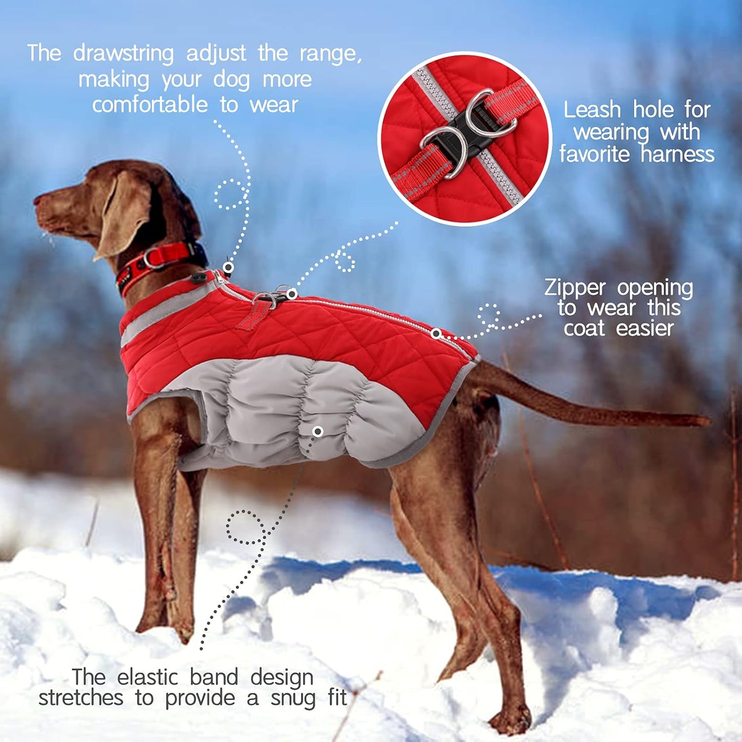 FUAMEY Dog Coat for Small Dogs,Waterproof Dog Winter Jacket with Harness Built in Puppy Cold Weather Coats Reflective Pet Vest with Zipper Warm Fleece Dogs Snowsuit Windproof Red S