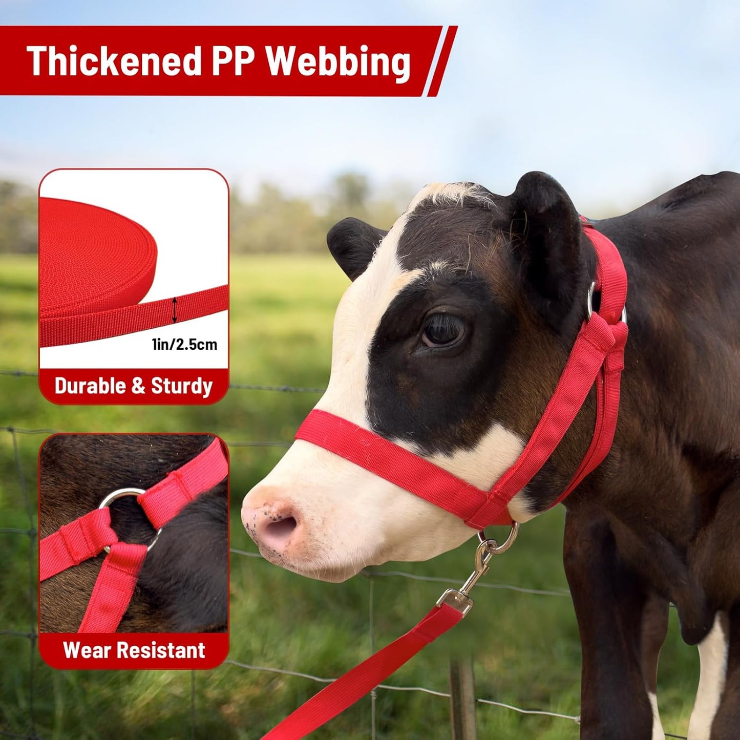 XUANNIAO Easily Adjustable Figure 8 Cow Halter, Double-Ply Premium Livestock Cattle Halters, Colorful Cow Utility Calf Halter with Leading Rope for Miniature Horse Donkey Goat Foal (Small, Pink)