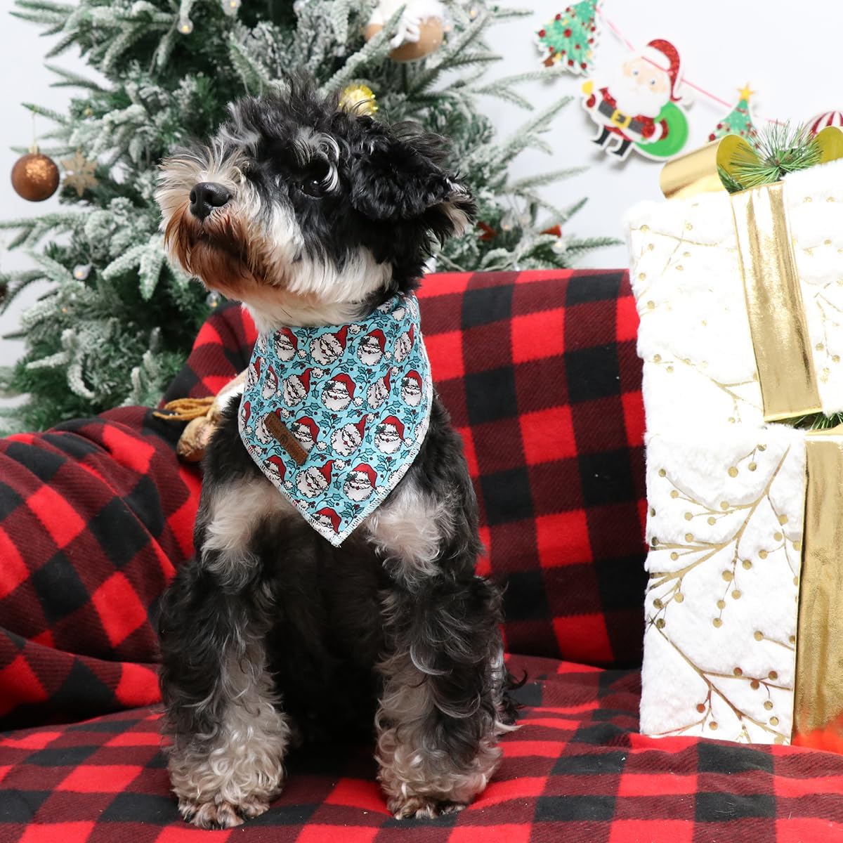 Lionet Paws Christmas Dog Bandana for Small Medium Large Dogs,Santa Cat Dog Kerchief Washable Dog Triangle Bibs Scarf for Girl or Boy Gift