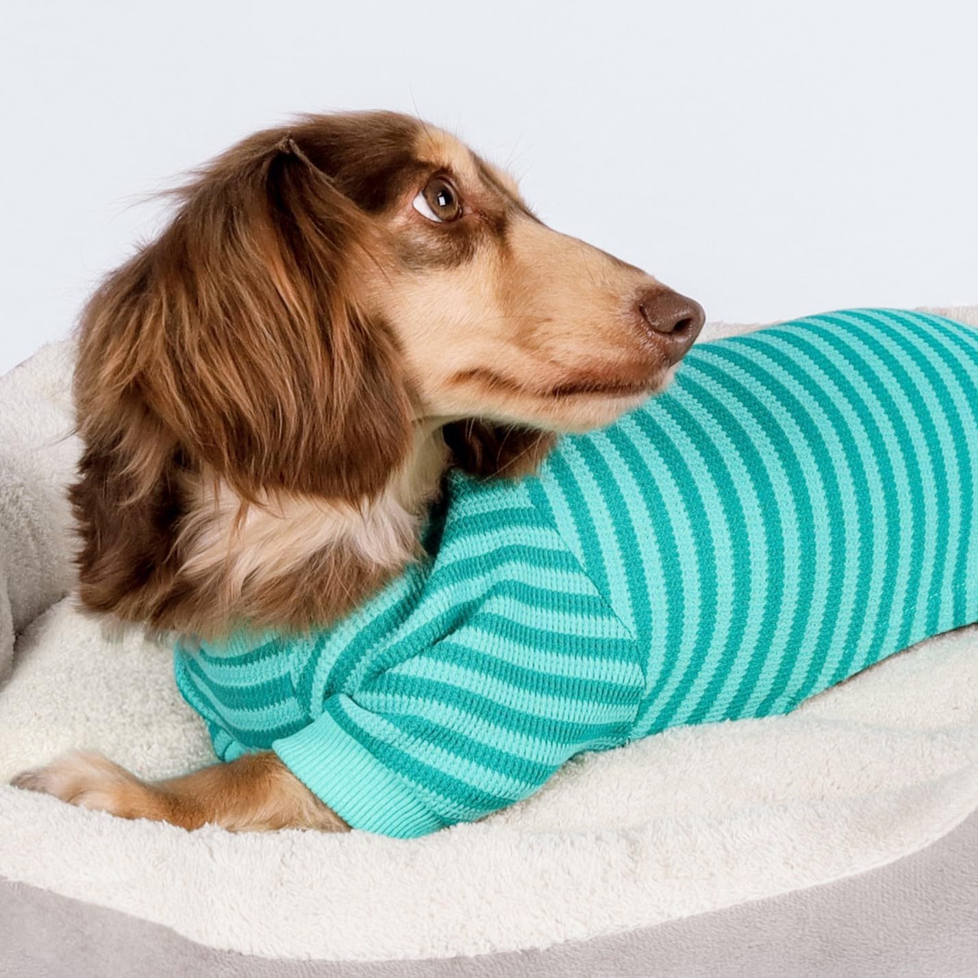 Fitwarm Green and Teal Striped Dog Pajamas, Waffle Dog Clothes for Small Dogs Girl Boy, Puppy Onesie with Feet, Pet Cat Outfit, Small