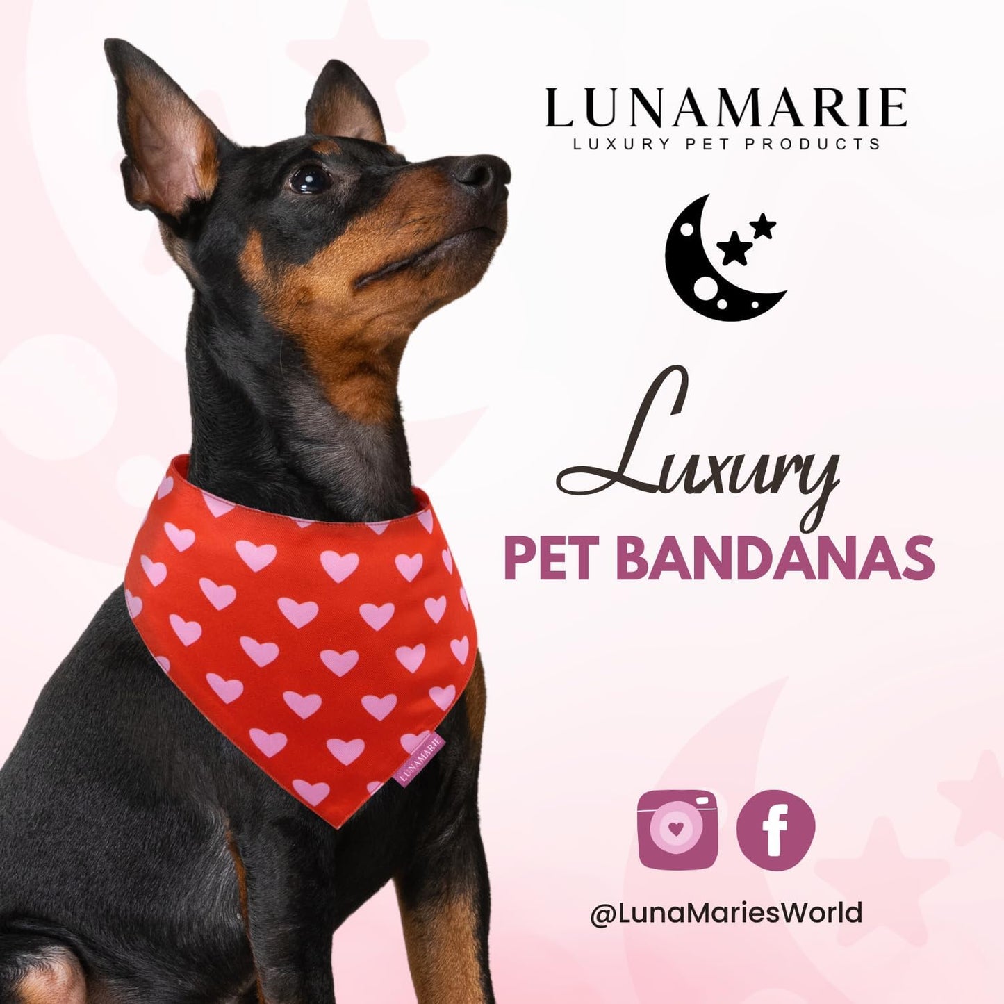 LunaMarie - Luxury Pet Birthday Bandanas -Premium & Silky Poly Fabric | 100% Handmade | Custom Shape Dual Layered (Evie Hearts, X-Small)