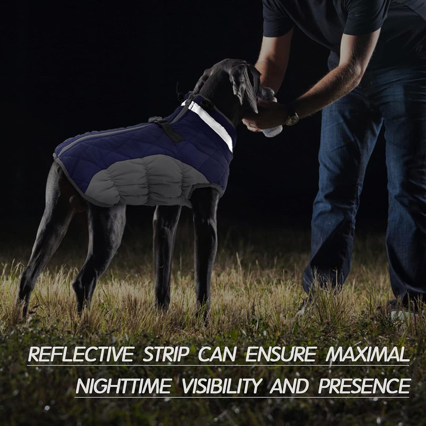 FUAMEY Dog Coat for Medium Dogs,Waterproof Dog Winter Jacket with Harness Built in Puppy Cold Weather Coats Reflective Pet Vest with Zipper Warm Fleece Dogs Snowsuit Windproof Blue M