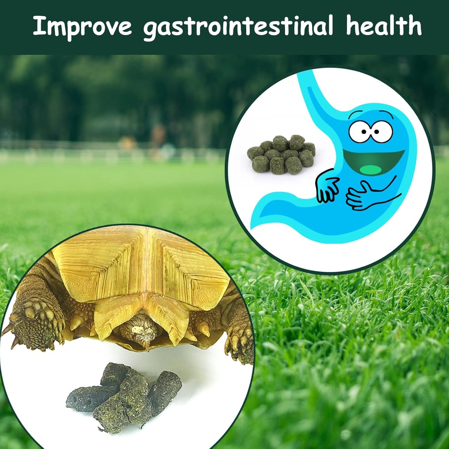 Timothy Hay Cubes 10 oz with Small Size - Timothy Grass Pellets for Tortoises Rabbits Guinea Pig Chinchilla